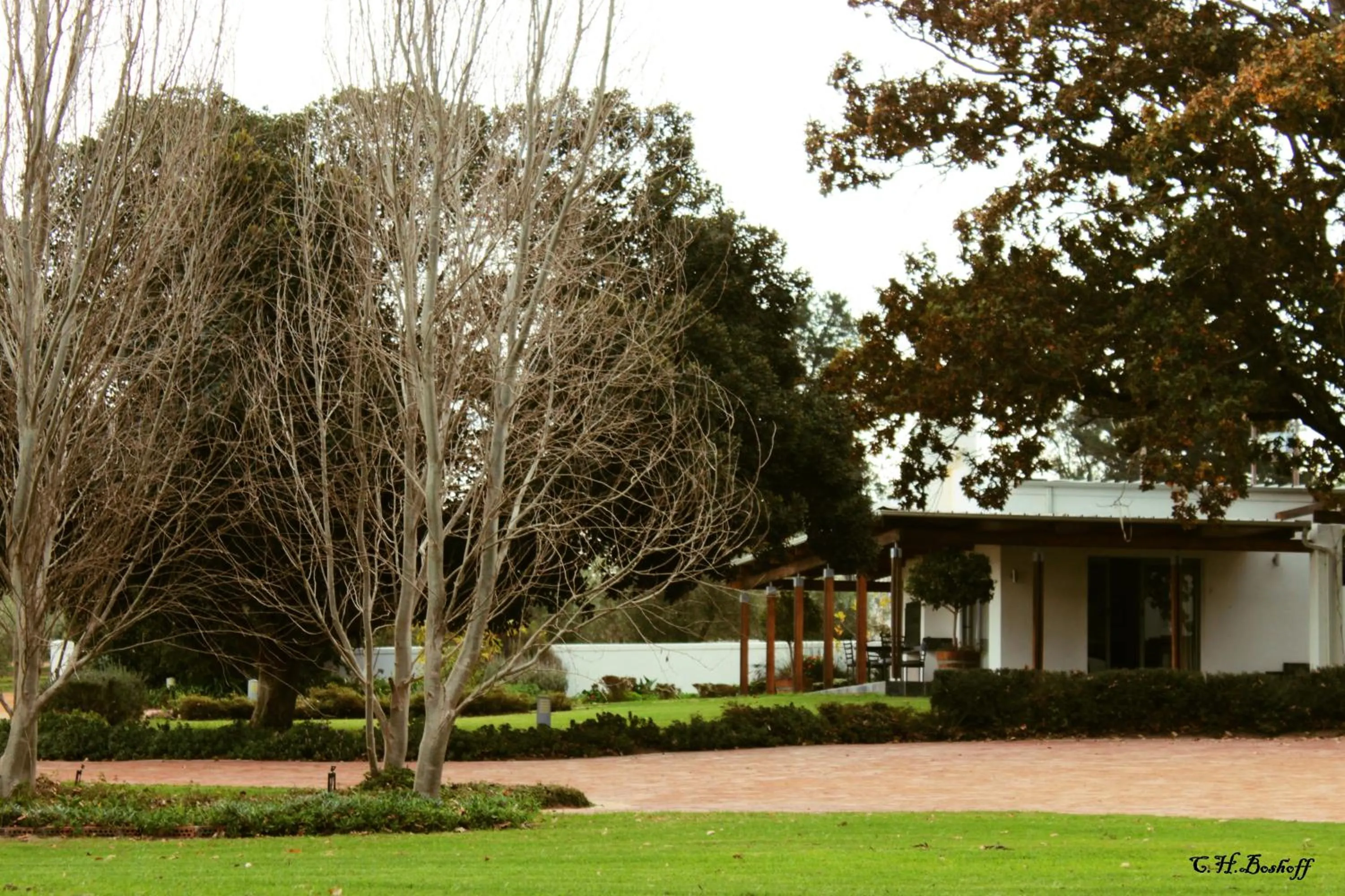 Garden in Klein Welmoed Luxury Guest House