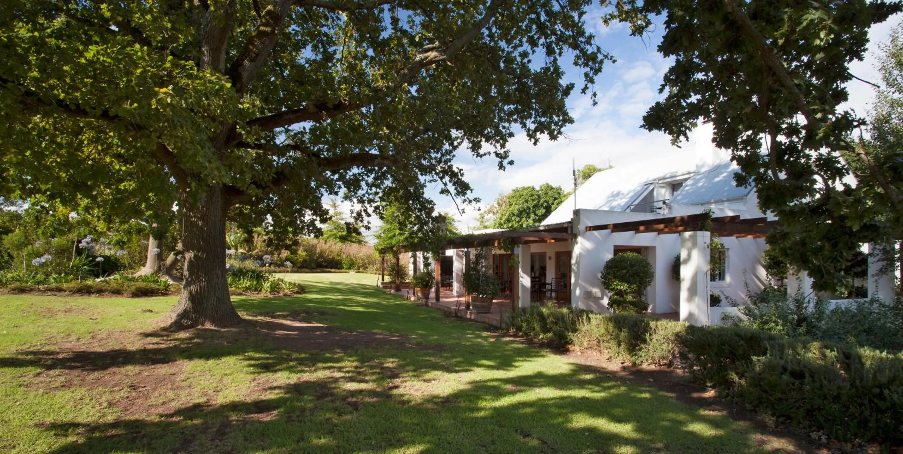 Summer in Klein Welmoed Luxury Guest House