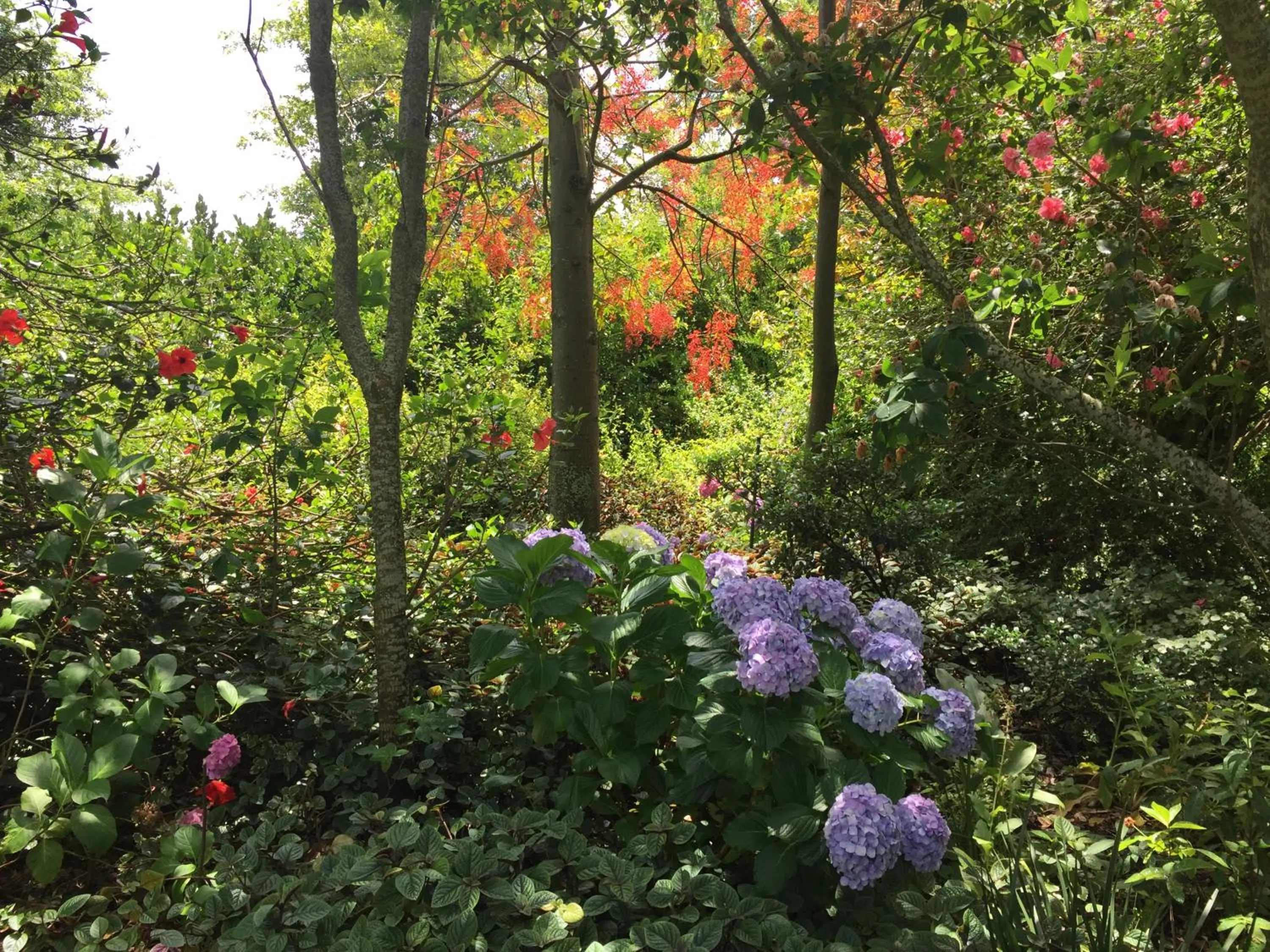 Garden in Klein Welmoed Luxury Guest House