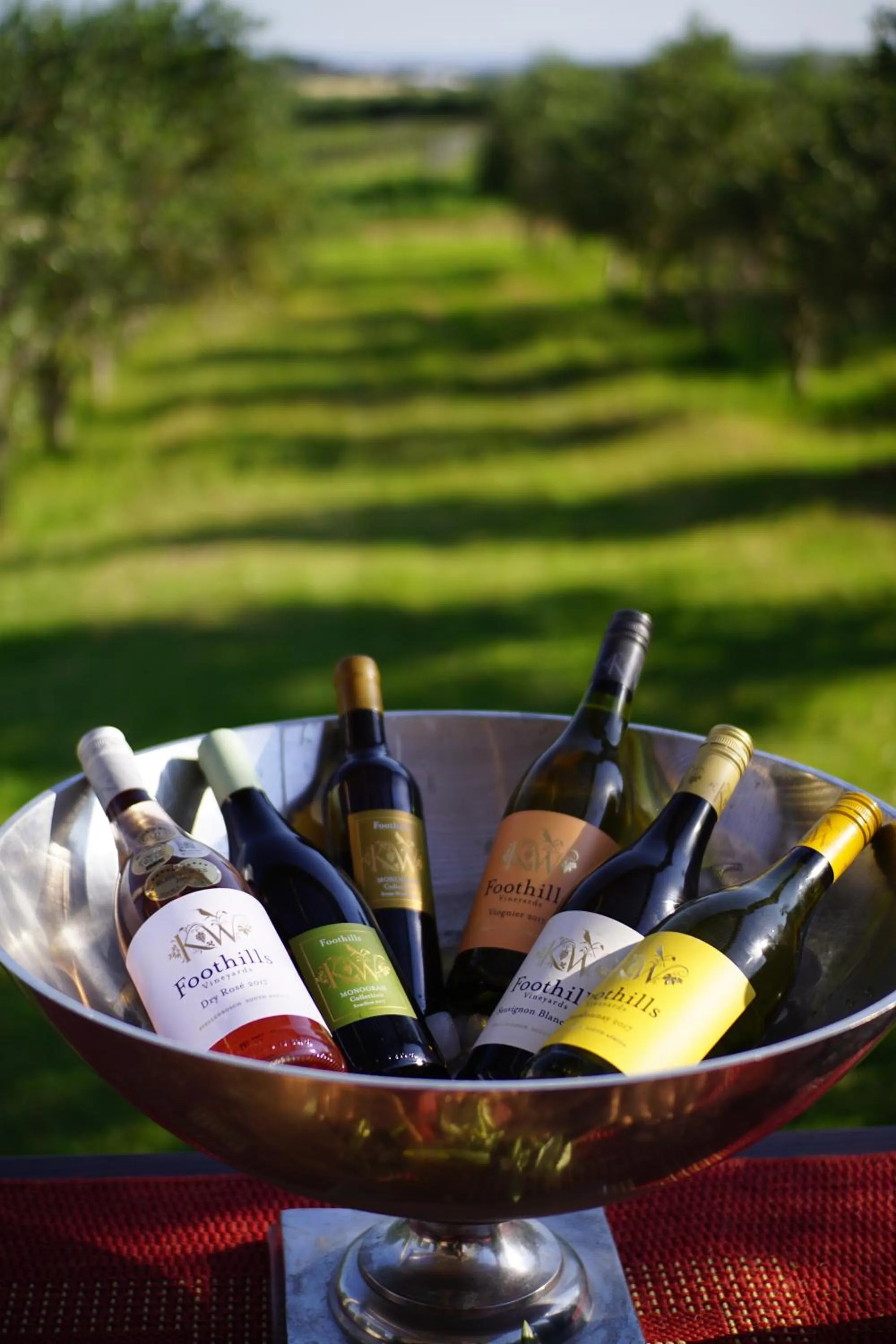 Alcoholic drinks in Klein Welmoed Luxury Guest House