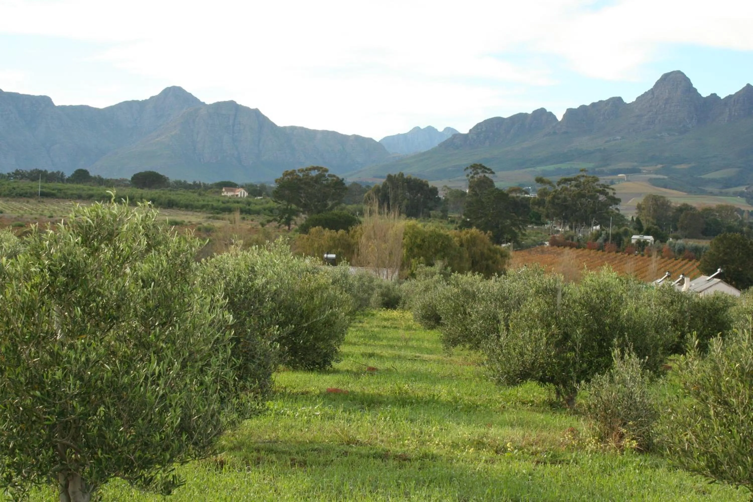 Day in Klein Welmoed Luxury Guest House