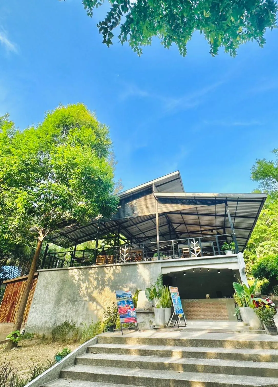 Live In Leaf Koh Tao