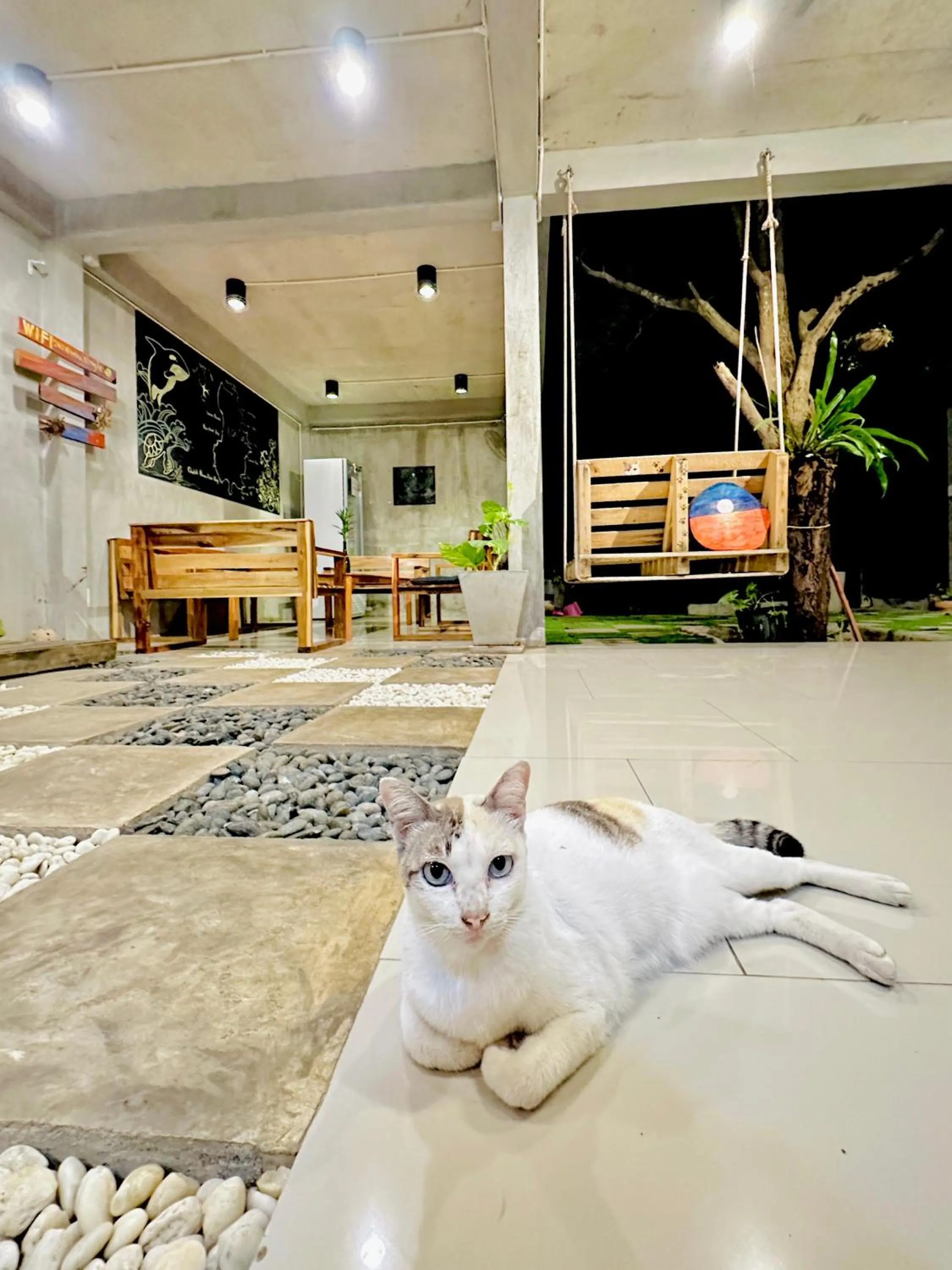 Pets in Live In Leaf Koh Tao