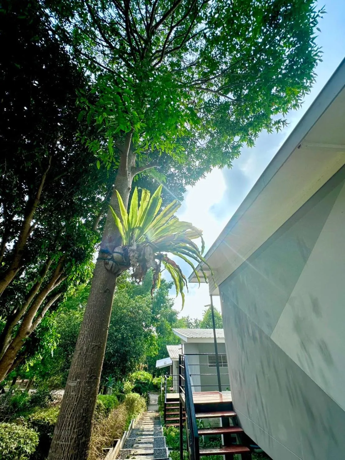 Day in Live In Leaf Koh Tao