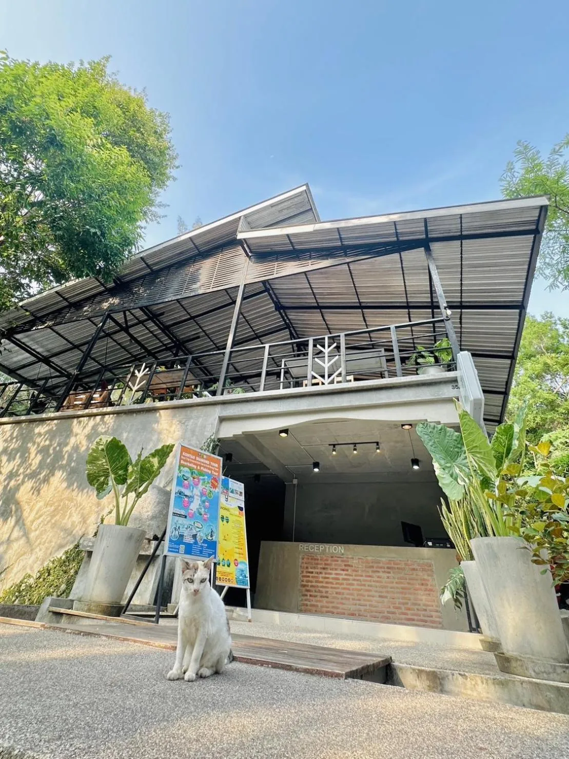 Property building in Live In Leaf Koh Tao