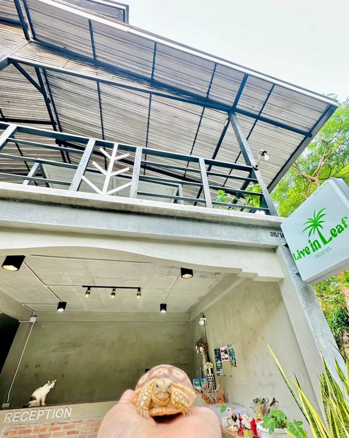 Live In Leaf Koh Tao