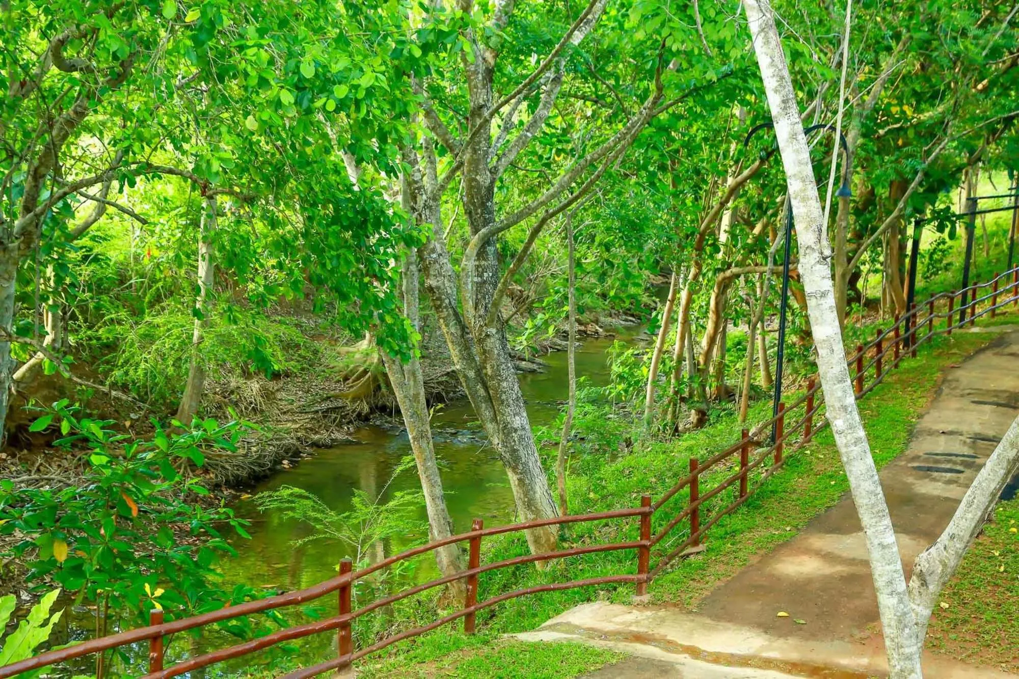 Natural landscape in Doola River Edge
