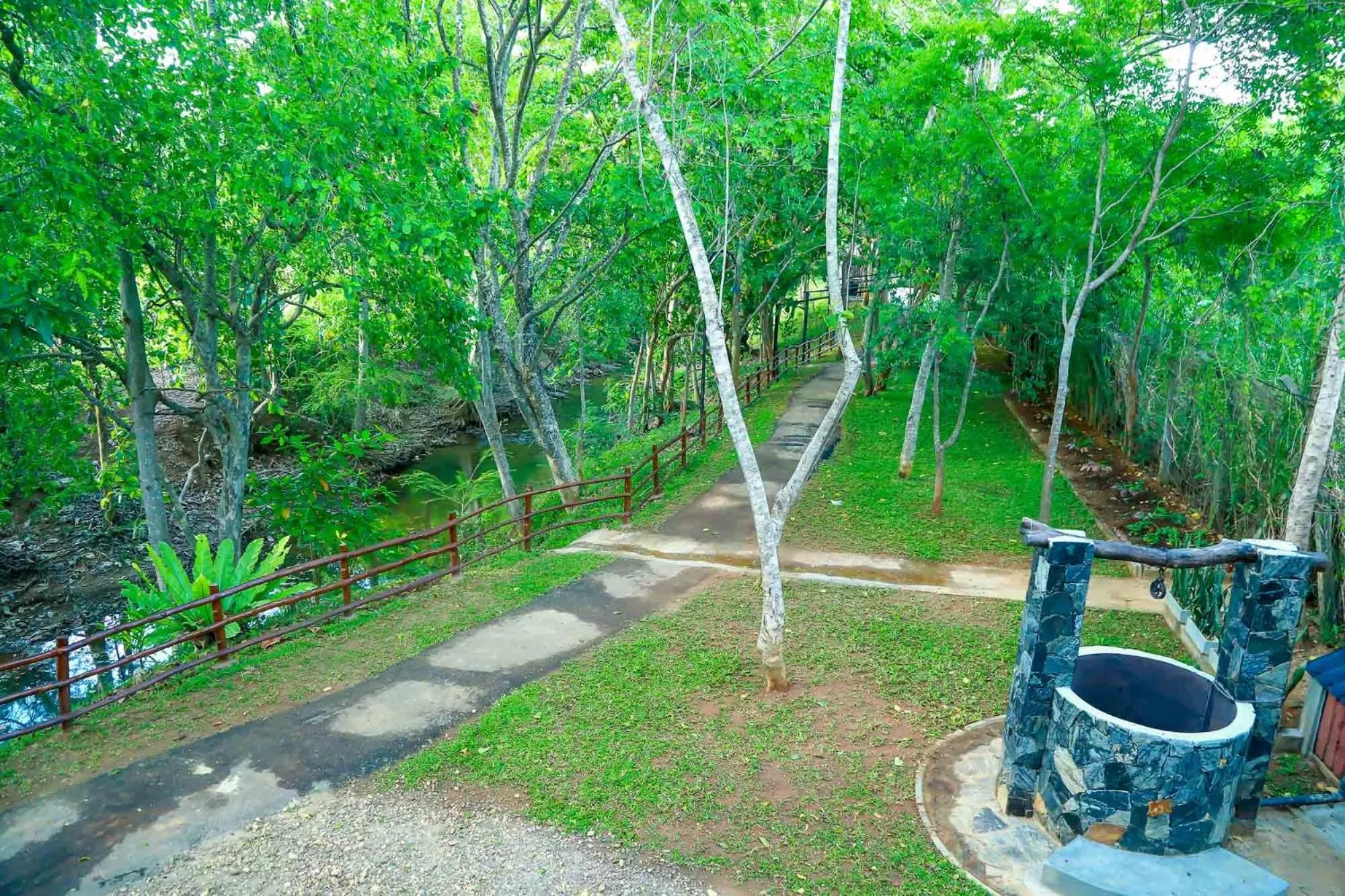 Natural landscape in Doola River Edge