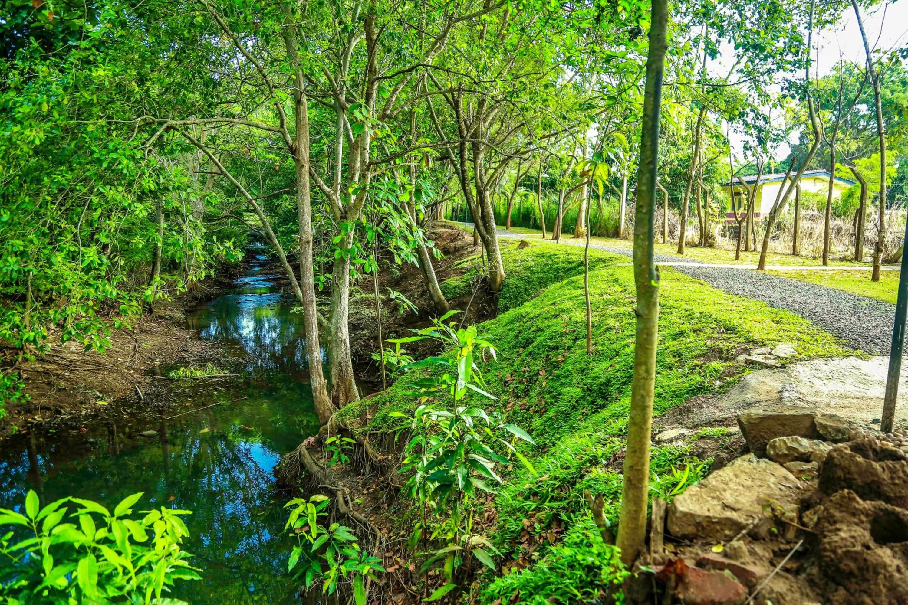 Garden in Doola River Edge