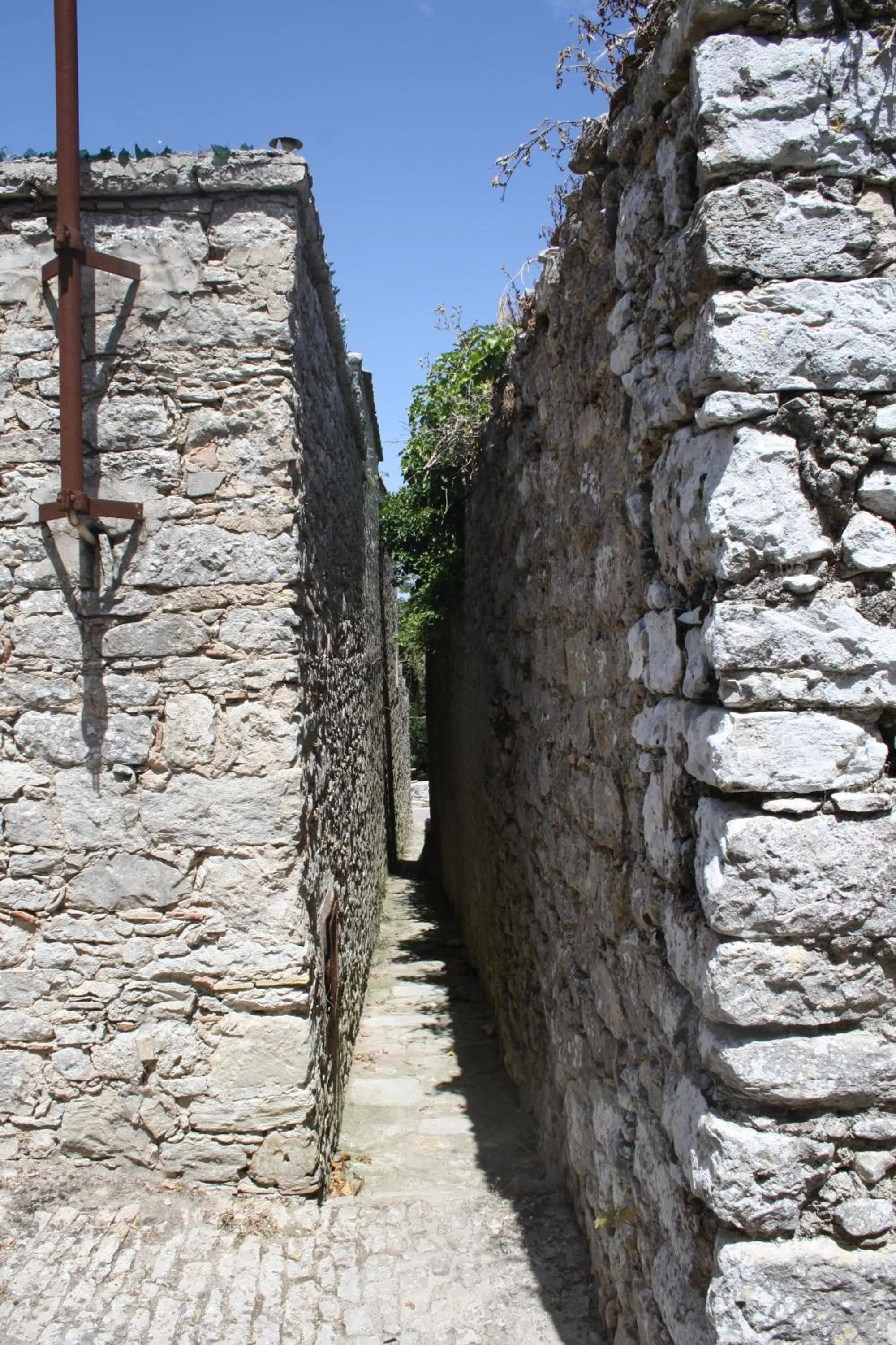 Natural landscape in Hotel Edelweiss