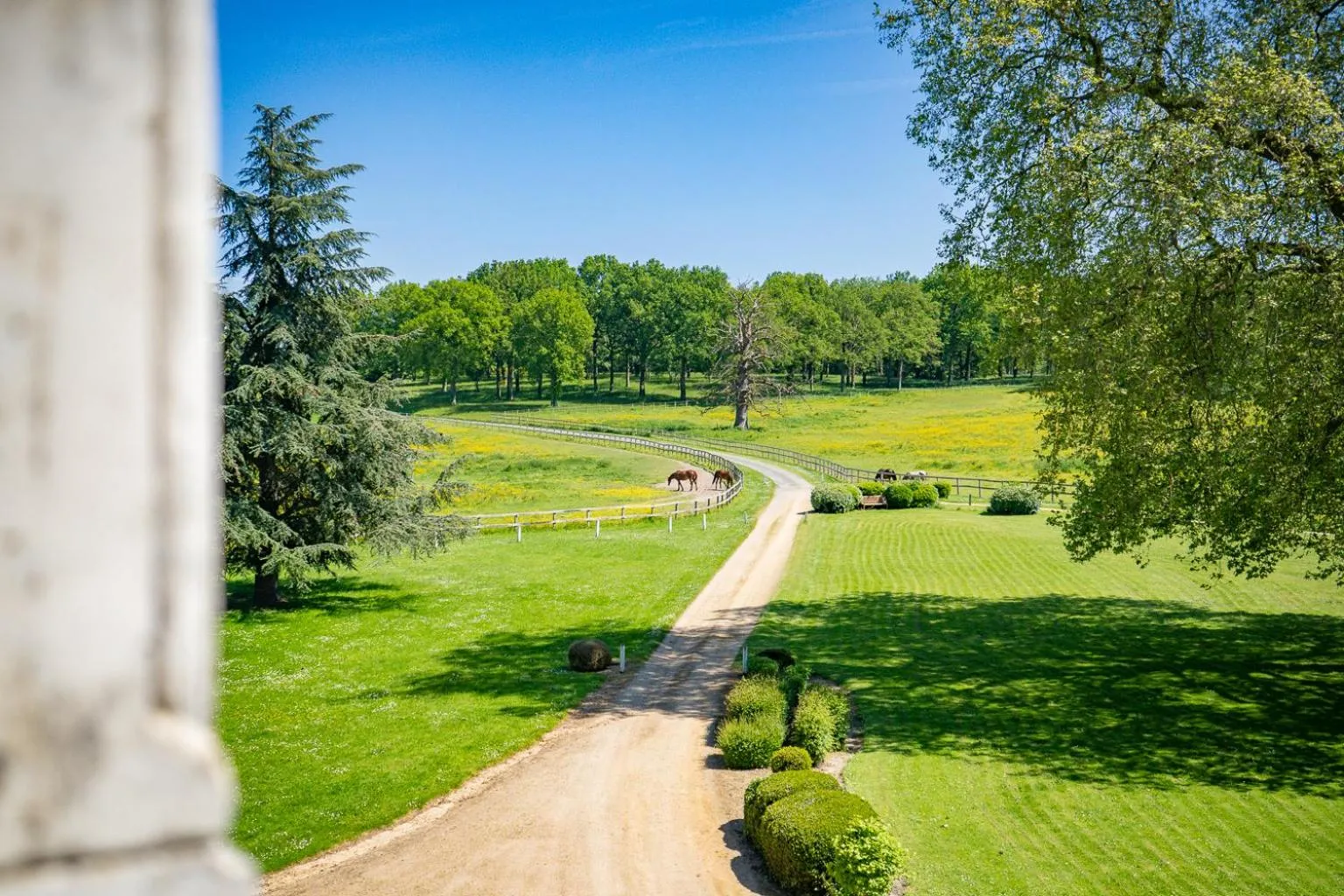 Natural landscape in Hotel Haras De La Potardiere