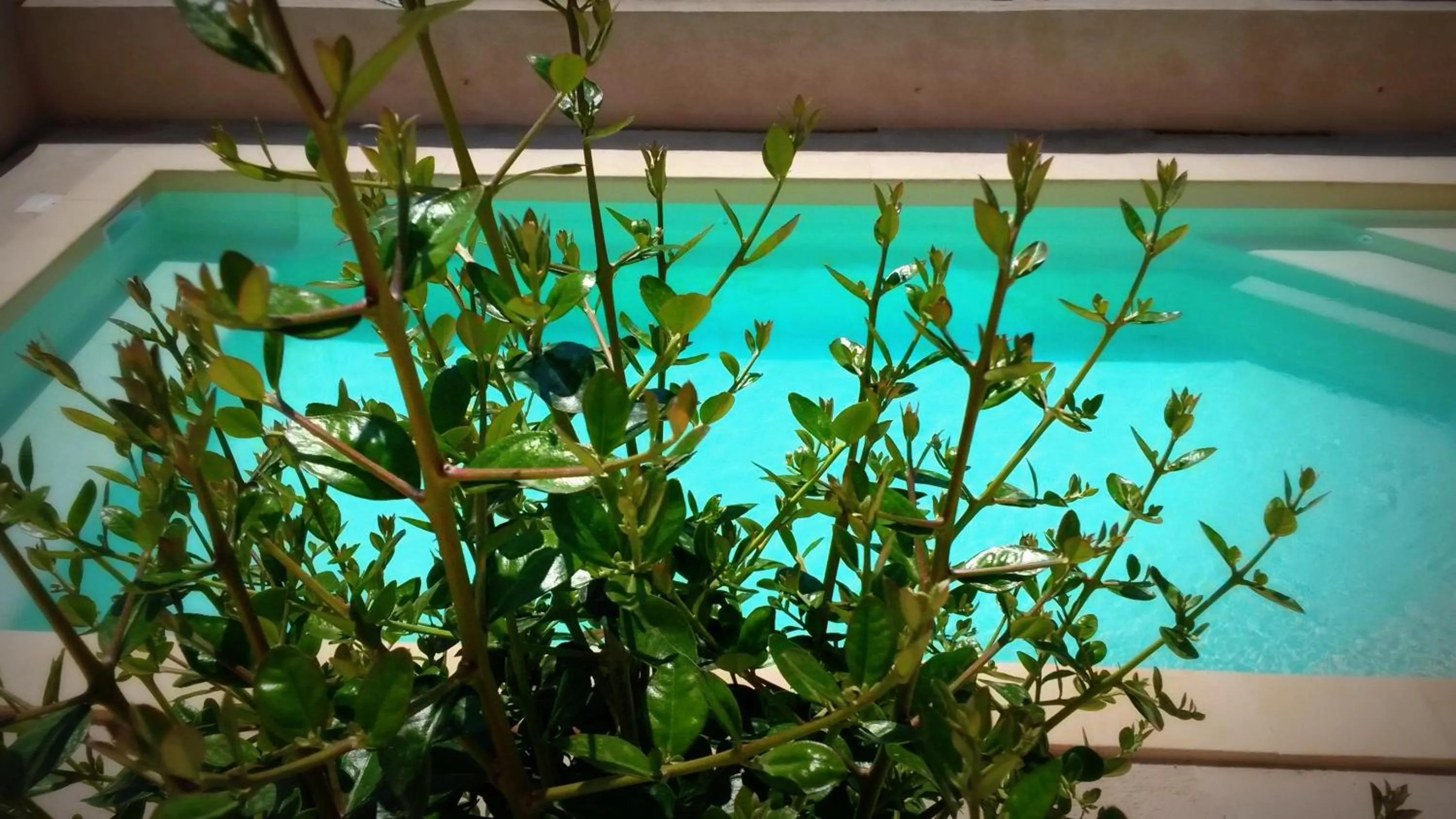 Swimming pool in Résidence Saint Michel