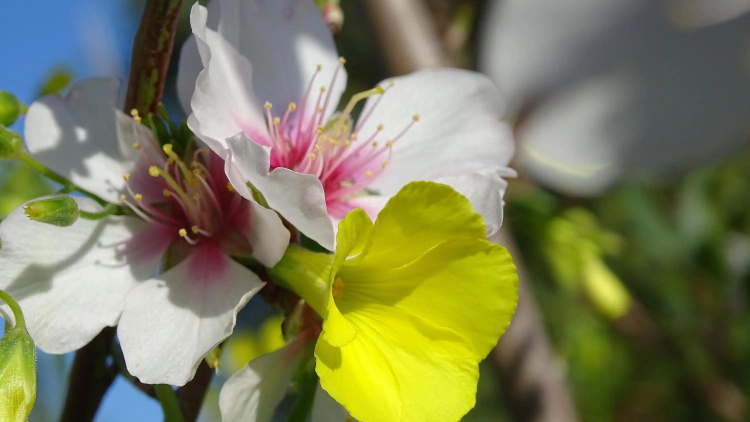 Neighbourhood in Résidence Saint Michel