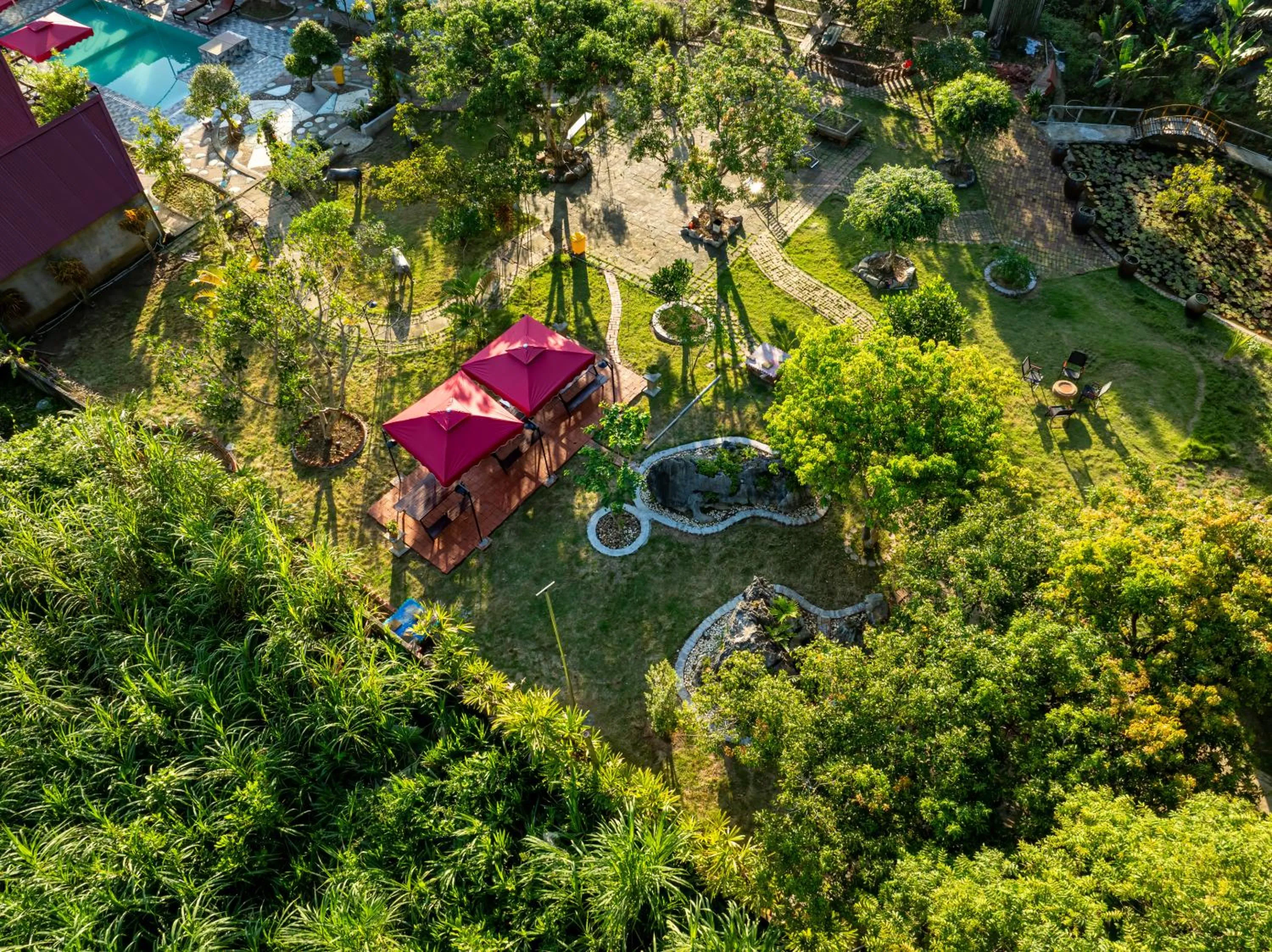 Spring in Cat Ba Serena Homestay And Swimming Pool