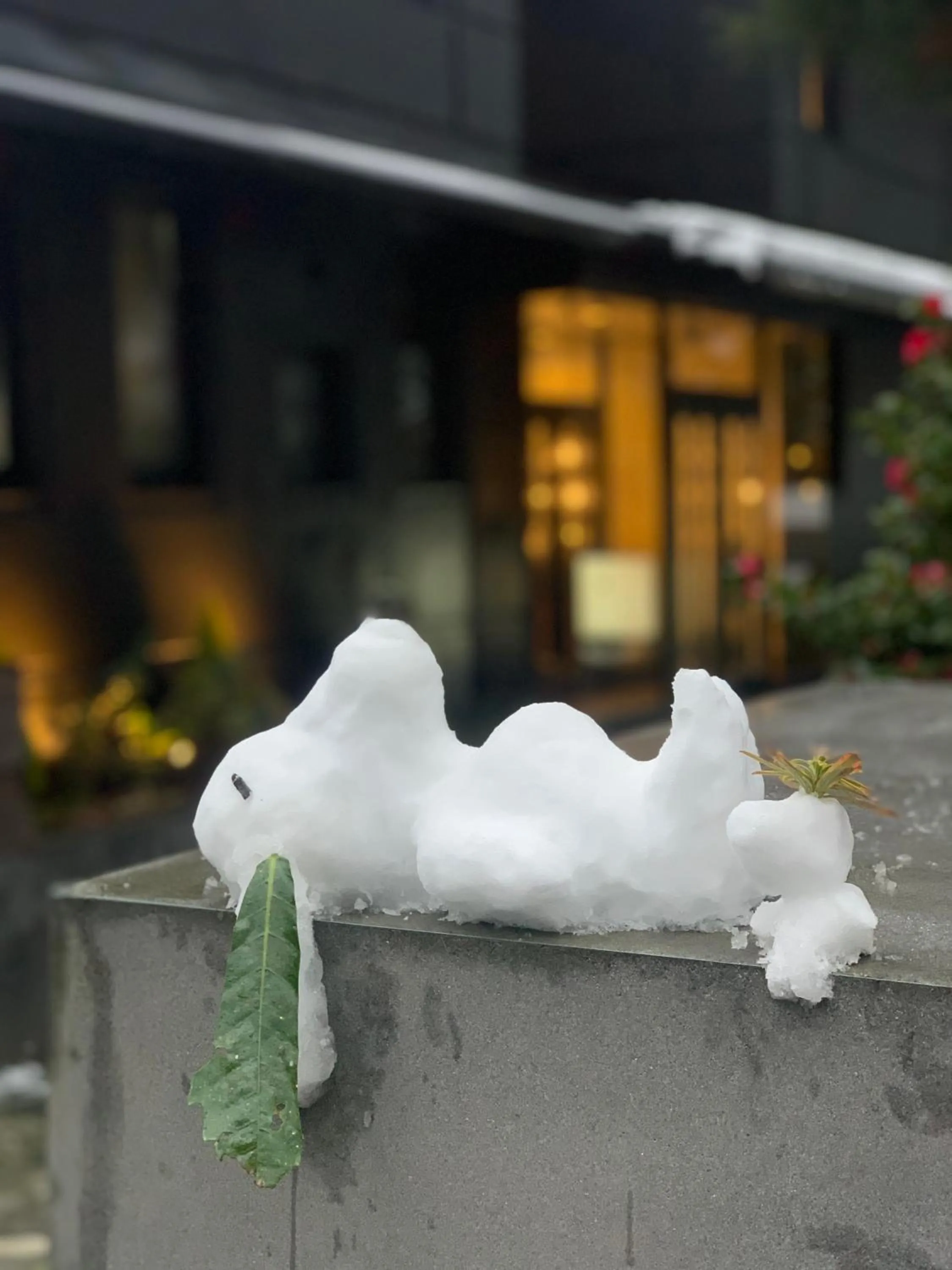 Property building in gran terrace Le Lien Hakone