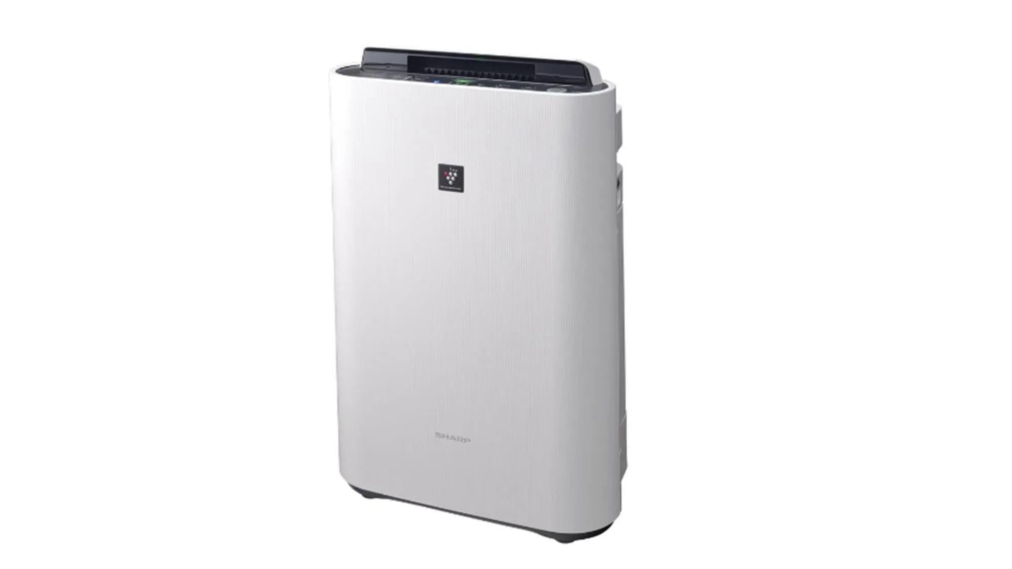 Other in Stay SAKURA Tokyo Asakusa Yokozuna Hotel