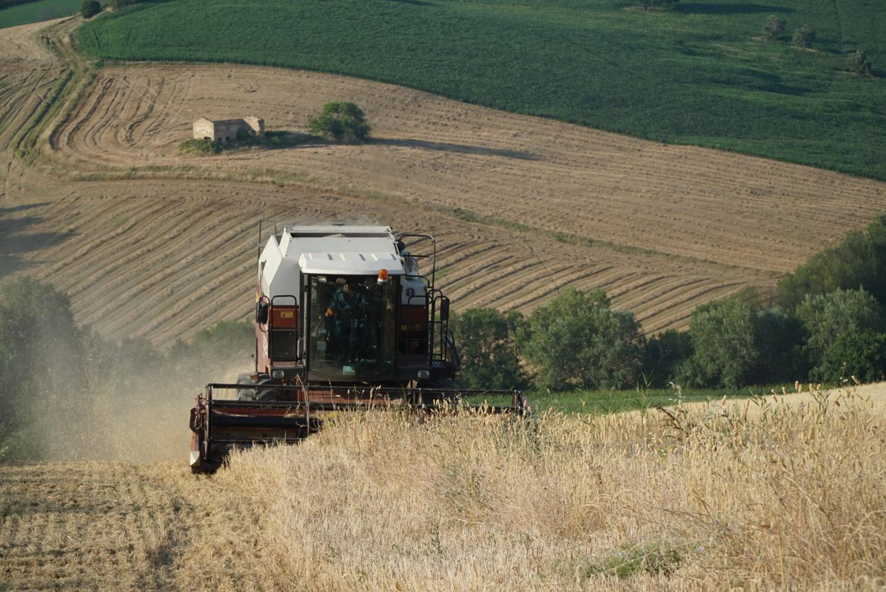 Natural landscape in Villa di agricoltori