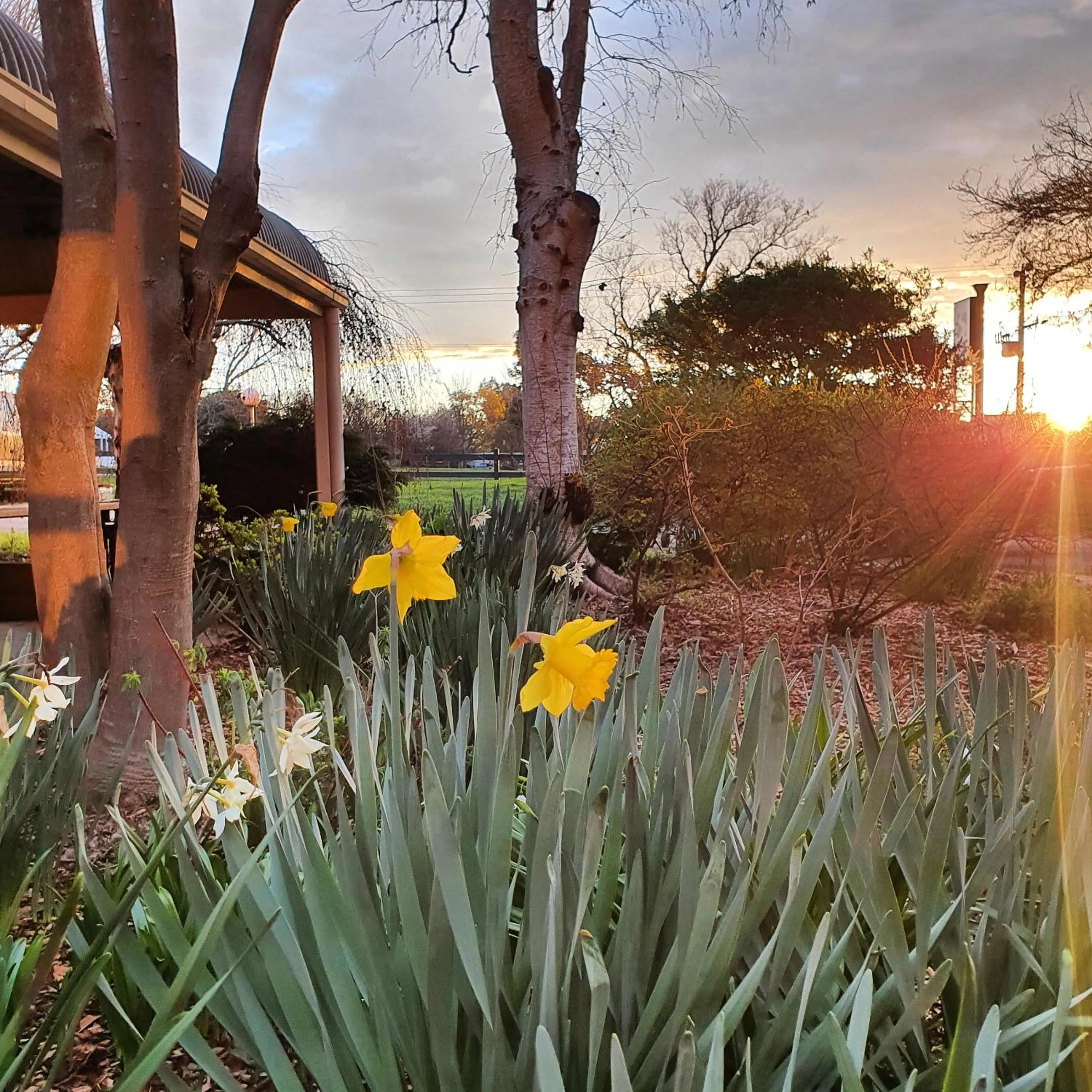 Natural landscape in The Lancefield Lodge