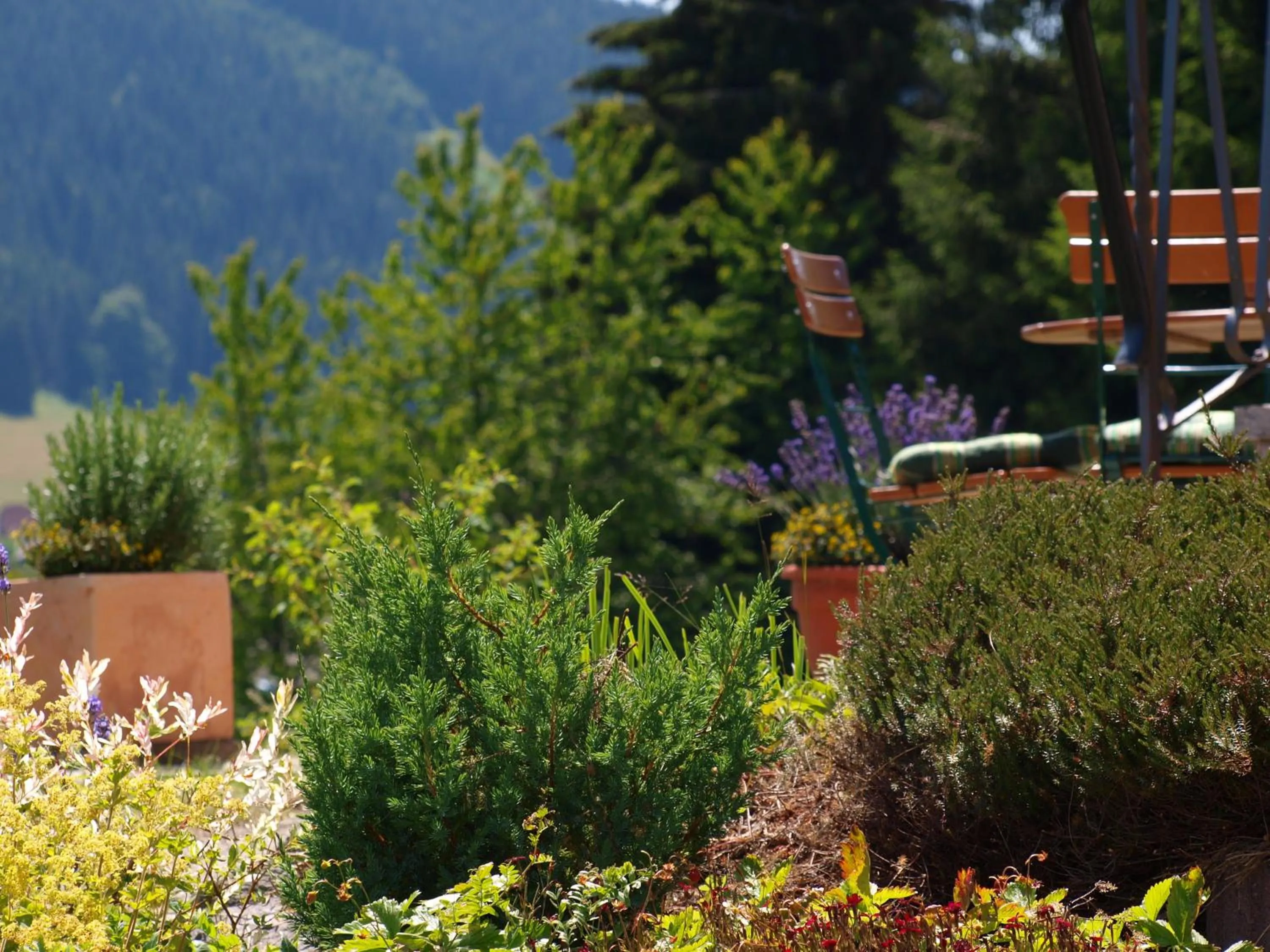 Garden in Hotel Restaurant Peterle