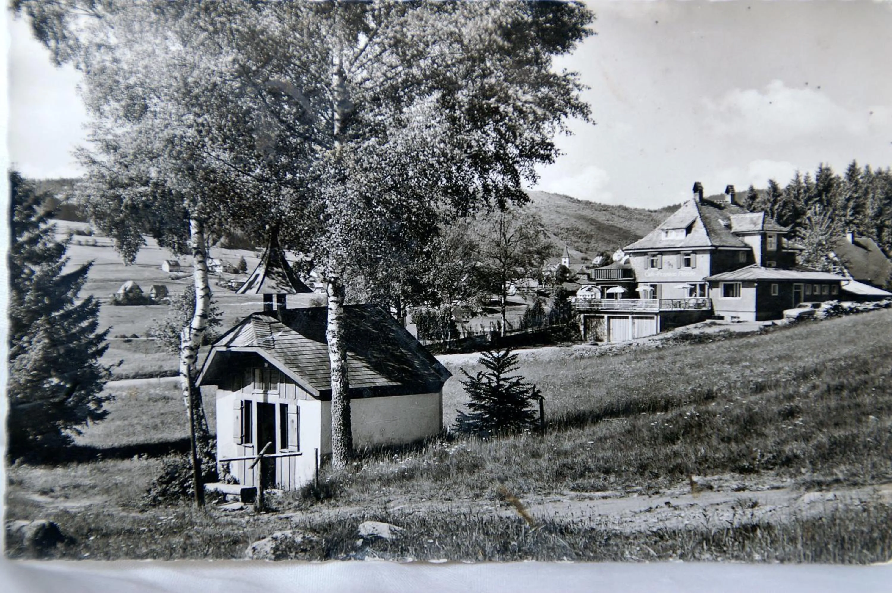 Bird's eye view in Hotel Restaurant Peterle