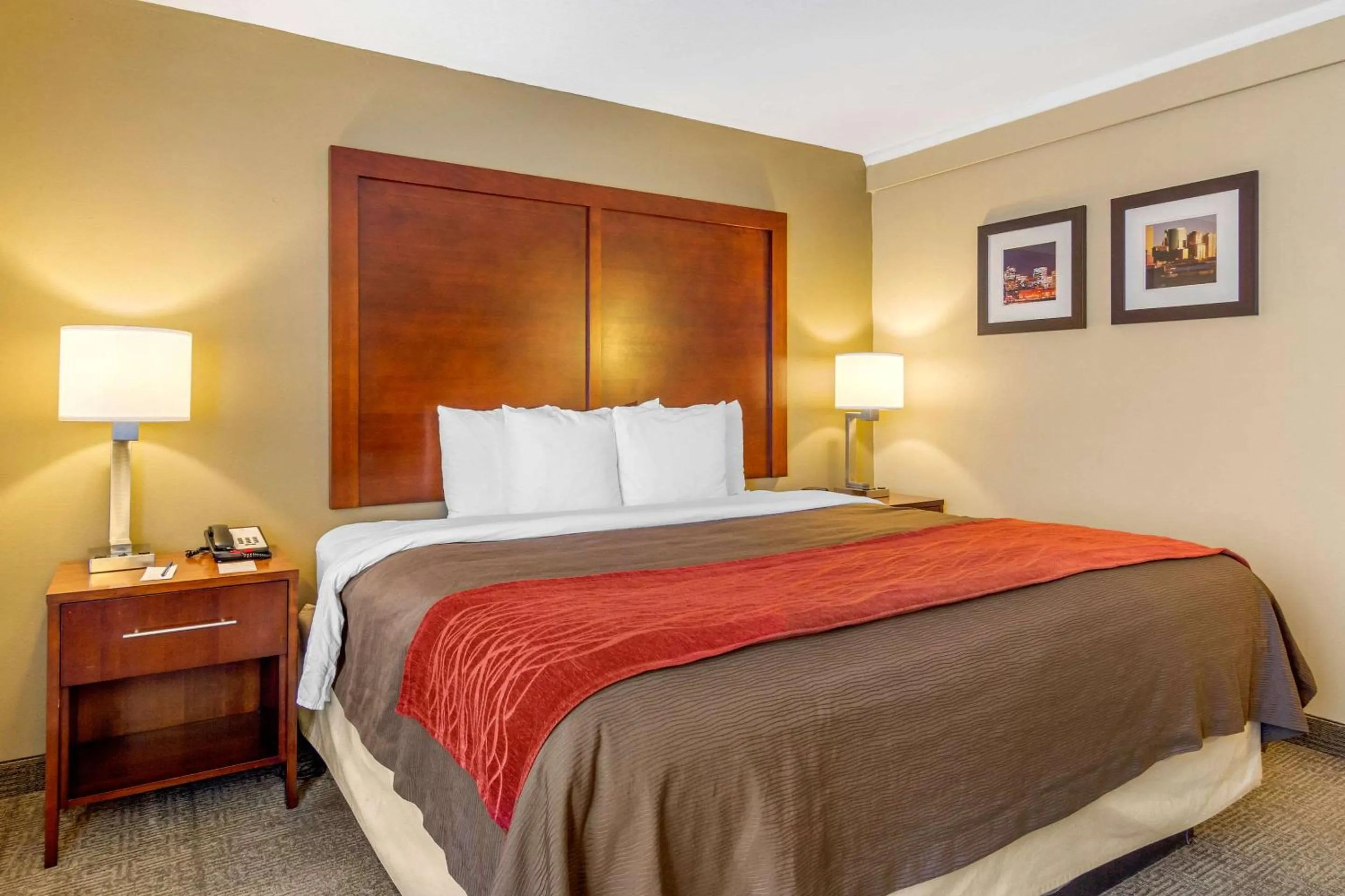 King Room - Pet Friendly/Non-Smoking in Holiday Inn Express Denver Central - North