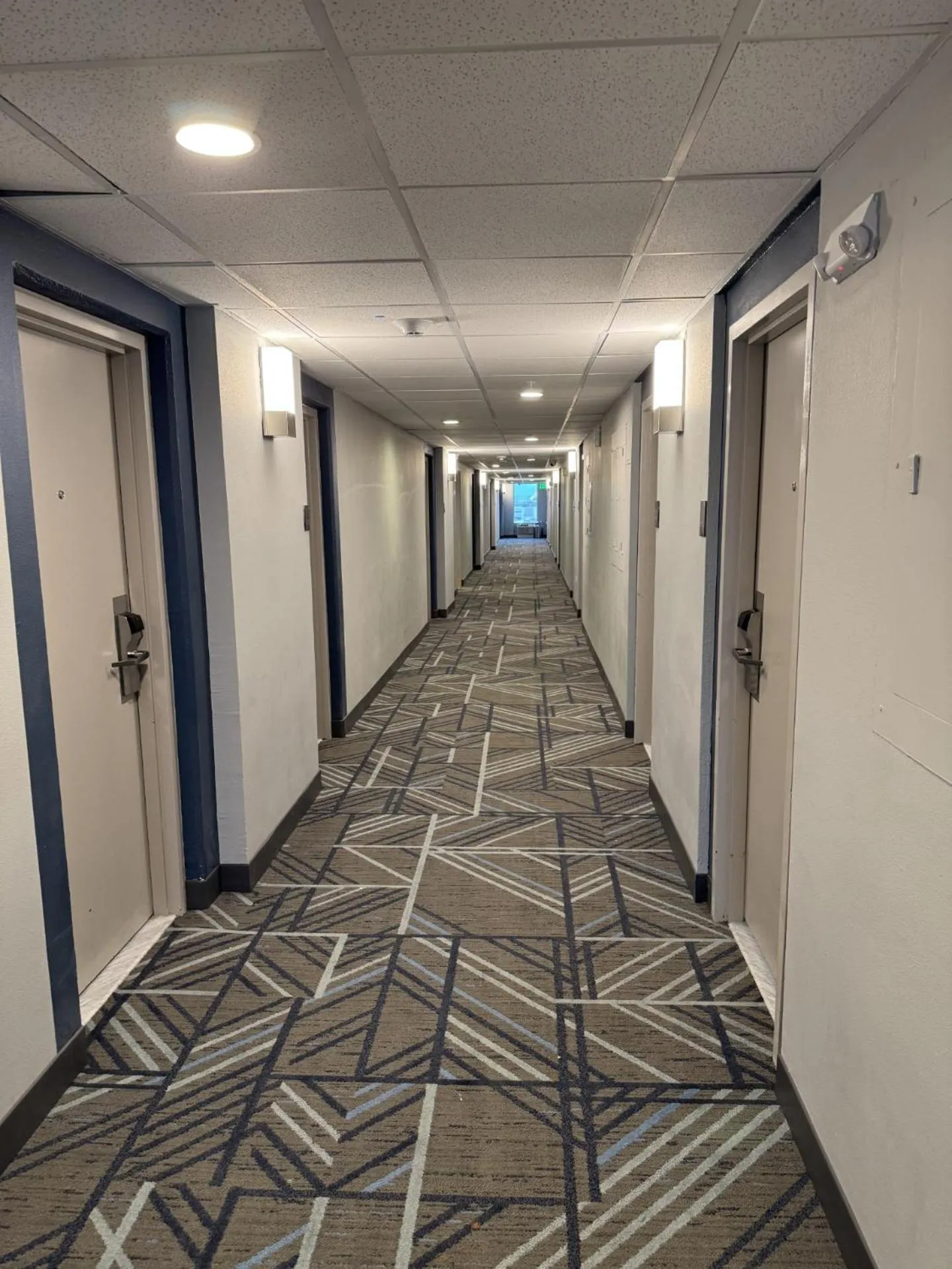 Property building in Holiday Inn Express Denver Central - North