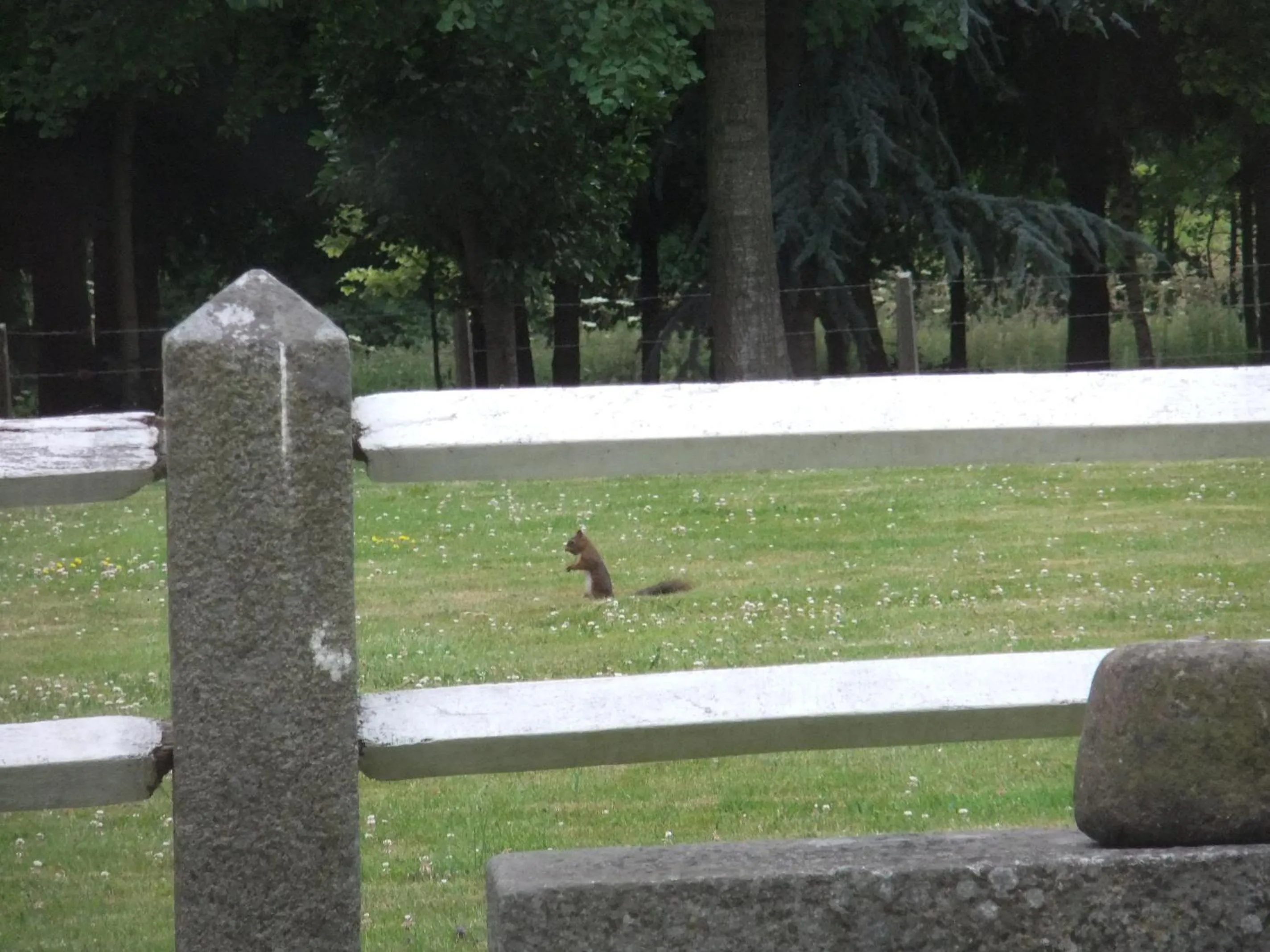 Animals in Gîtes de L'Aumondière