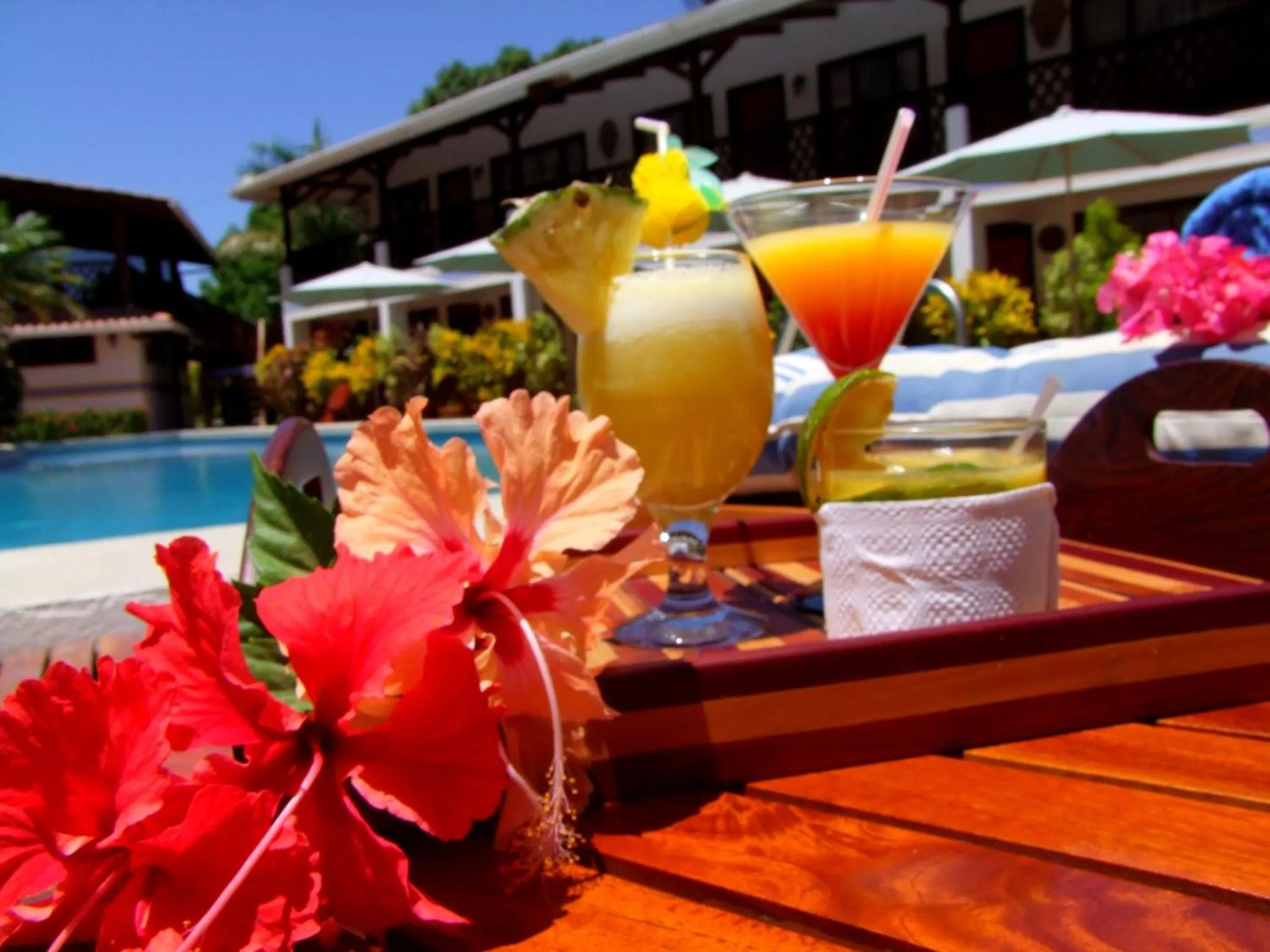 Food and drinks in Samara Pacific Lodge