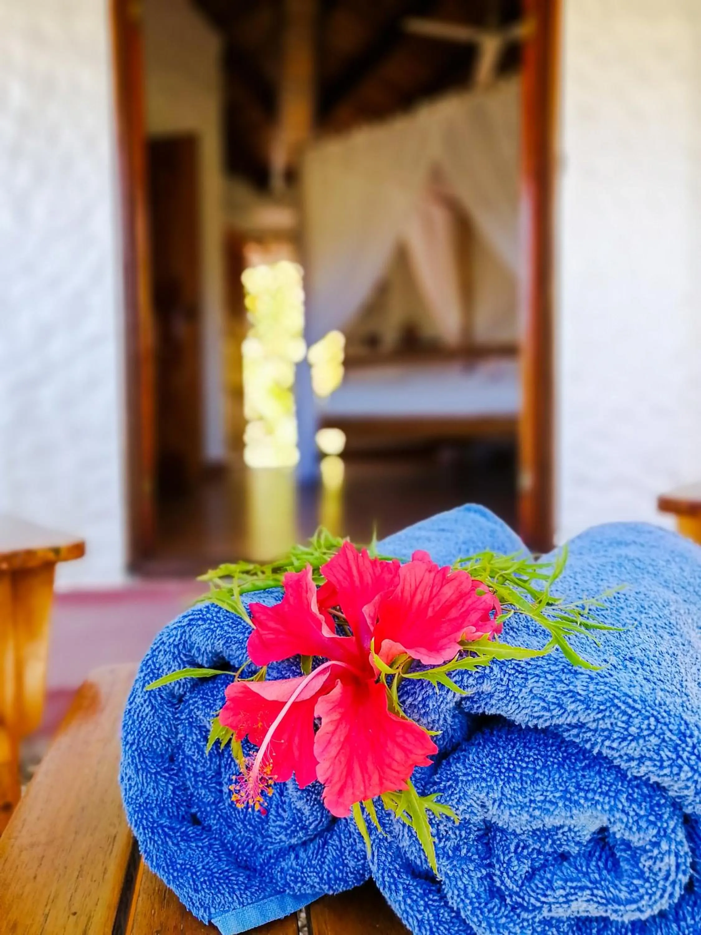 towels in Samara Pacific Lodge