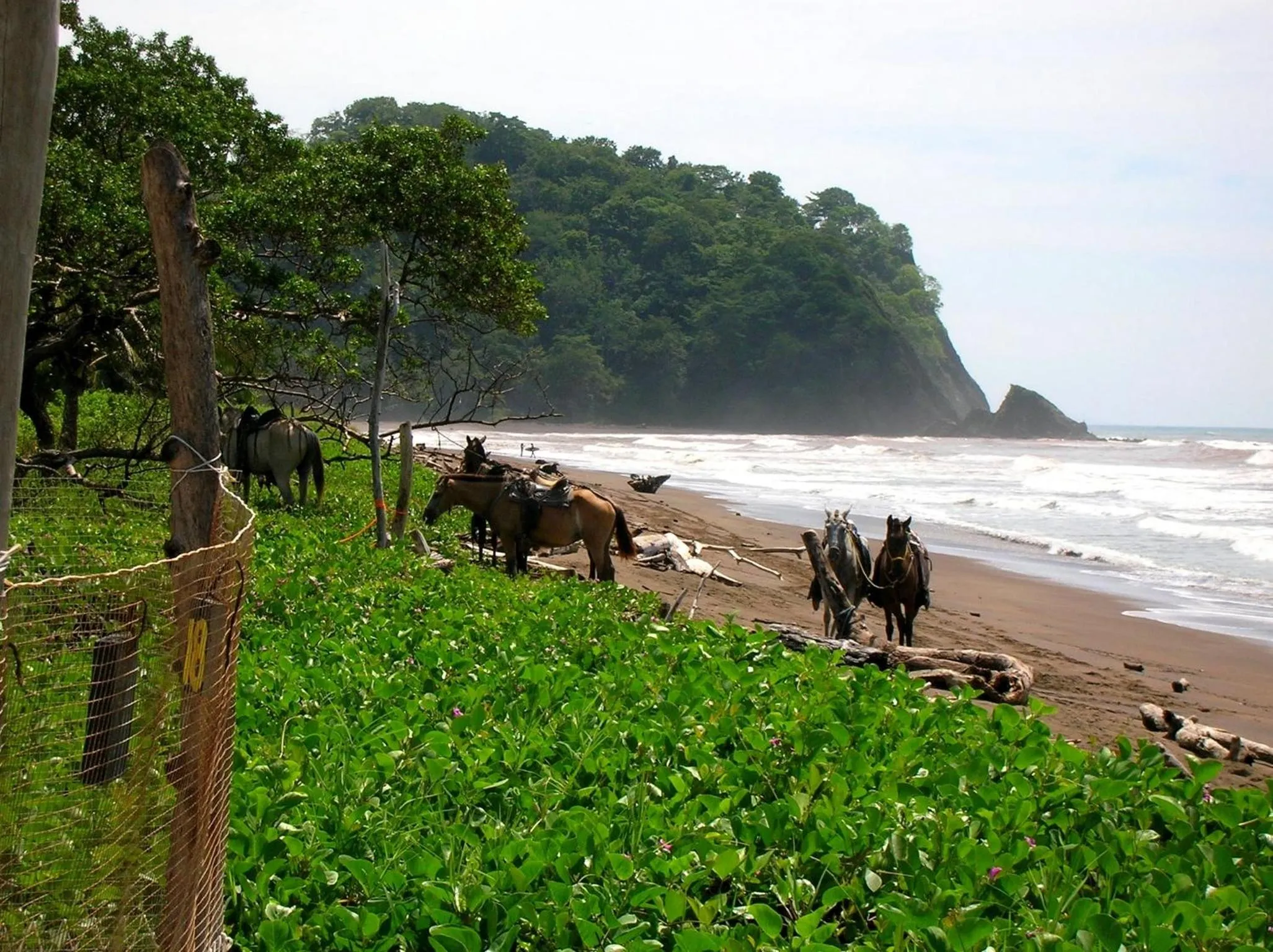 Horse-riding in Samara Pacific Lodge