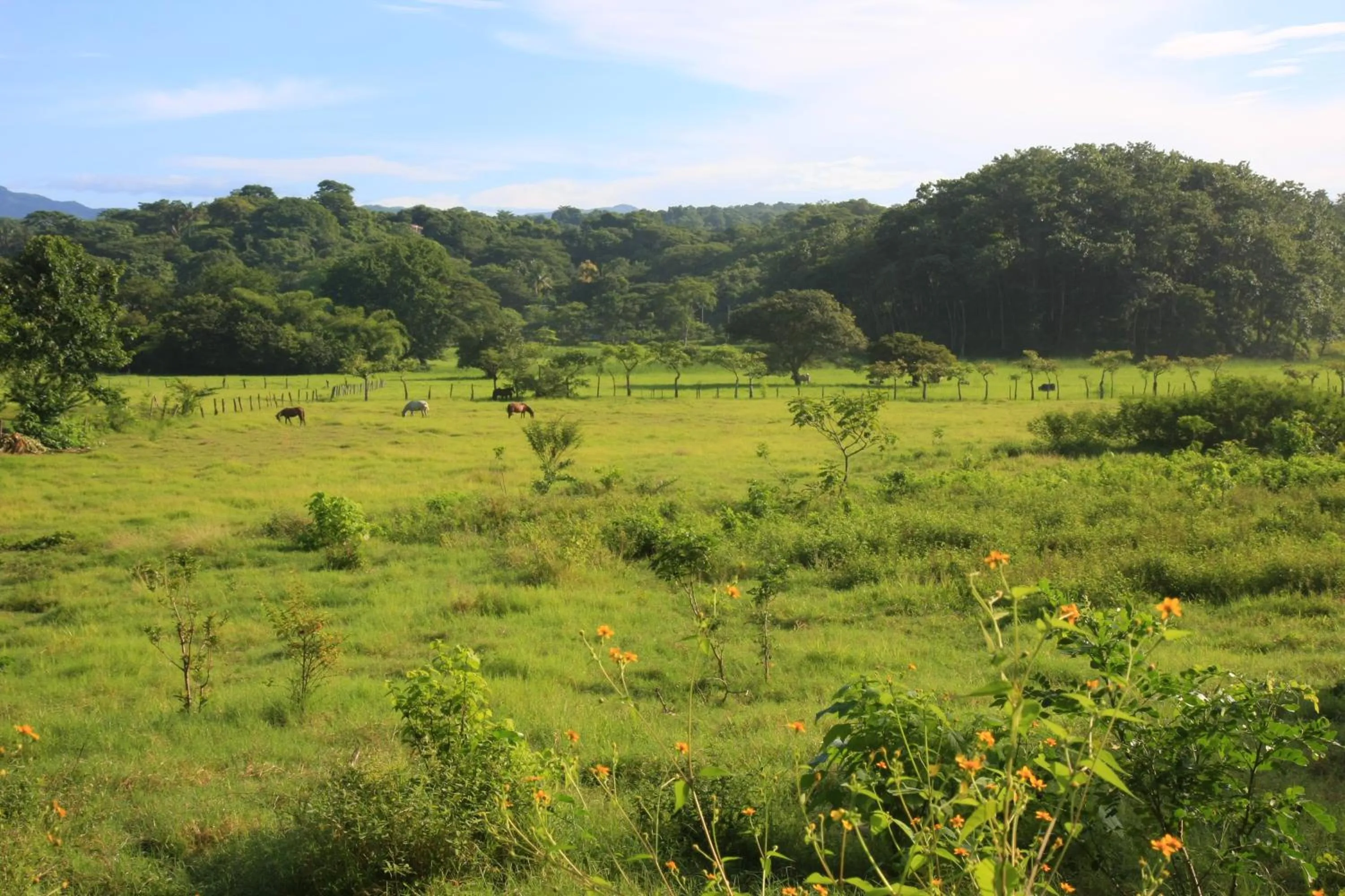 Area and facilities in Samara Pacific Lodge