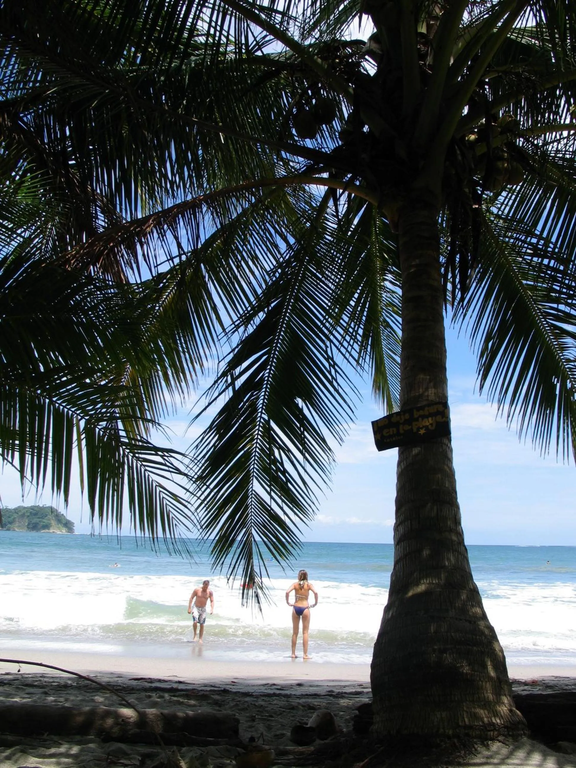 Area and facilities in Samara Pacific Lodge
