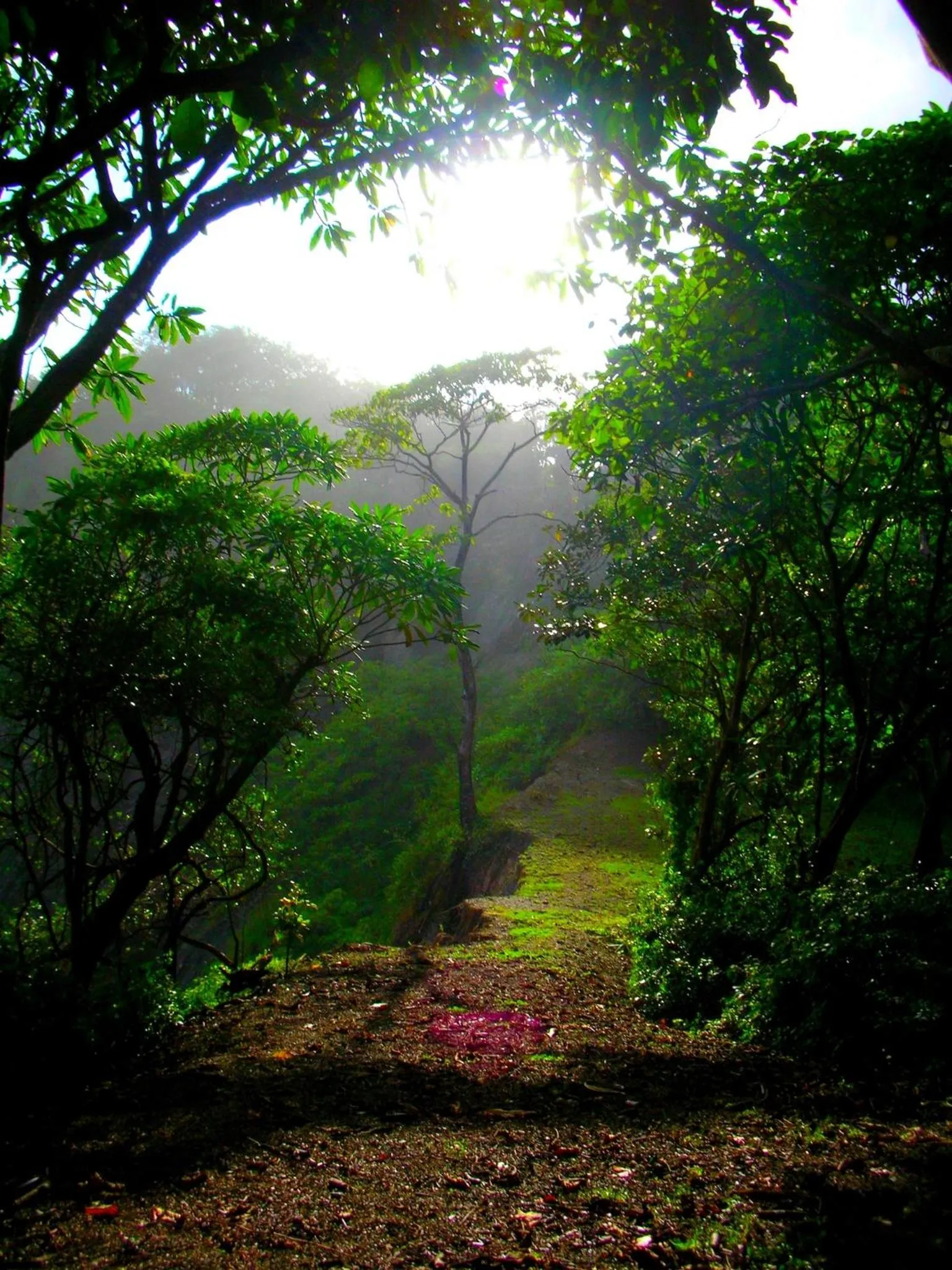 Area and facilities in Samara Pacific Lodge