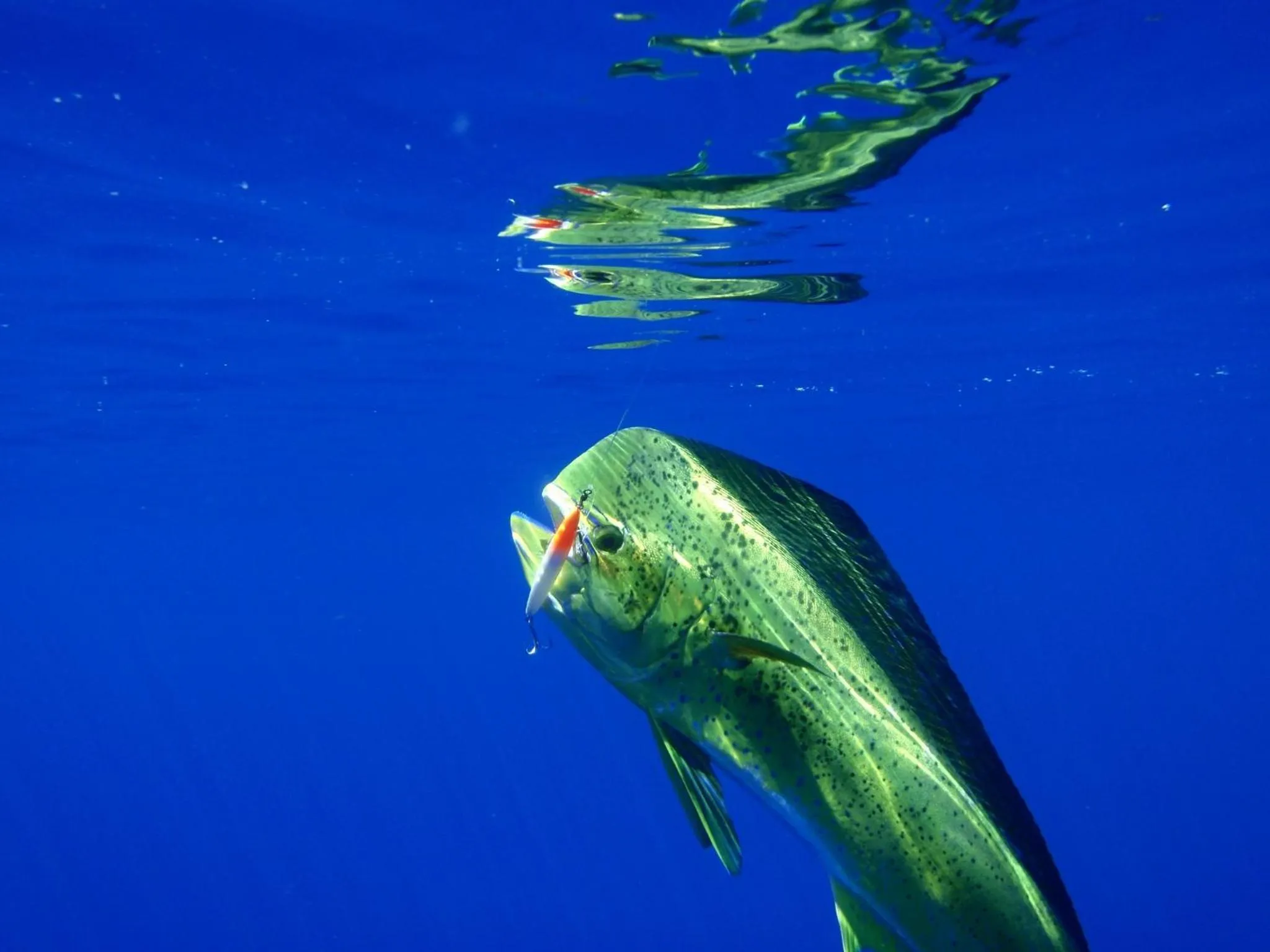 Fishing in Samara Pacific Lodge