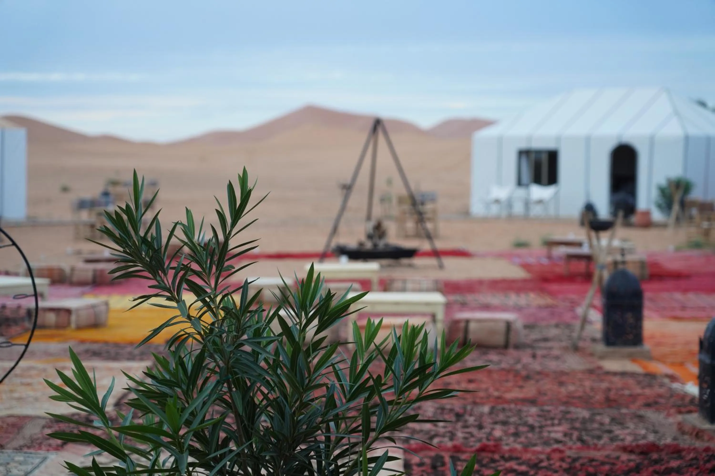 Property building in Luxury berber style
