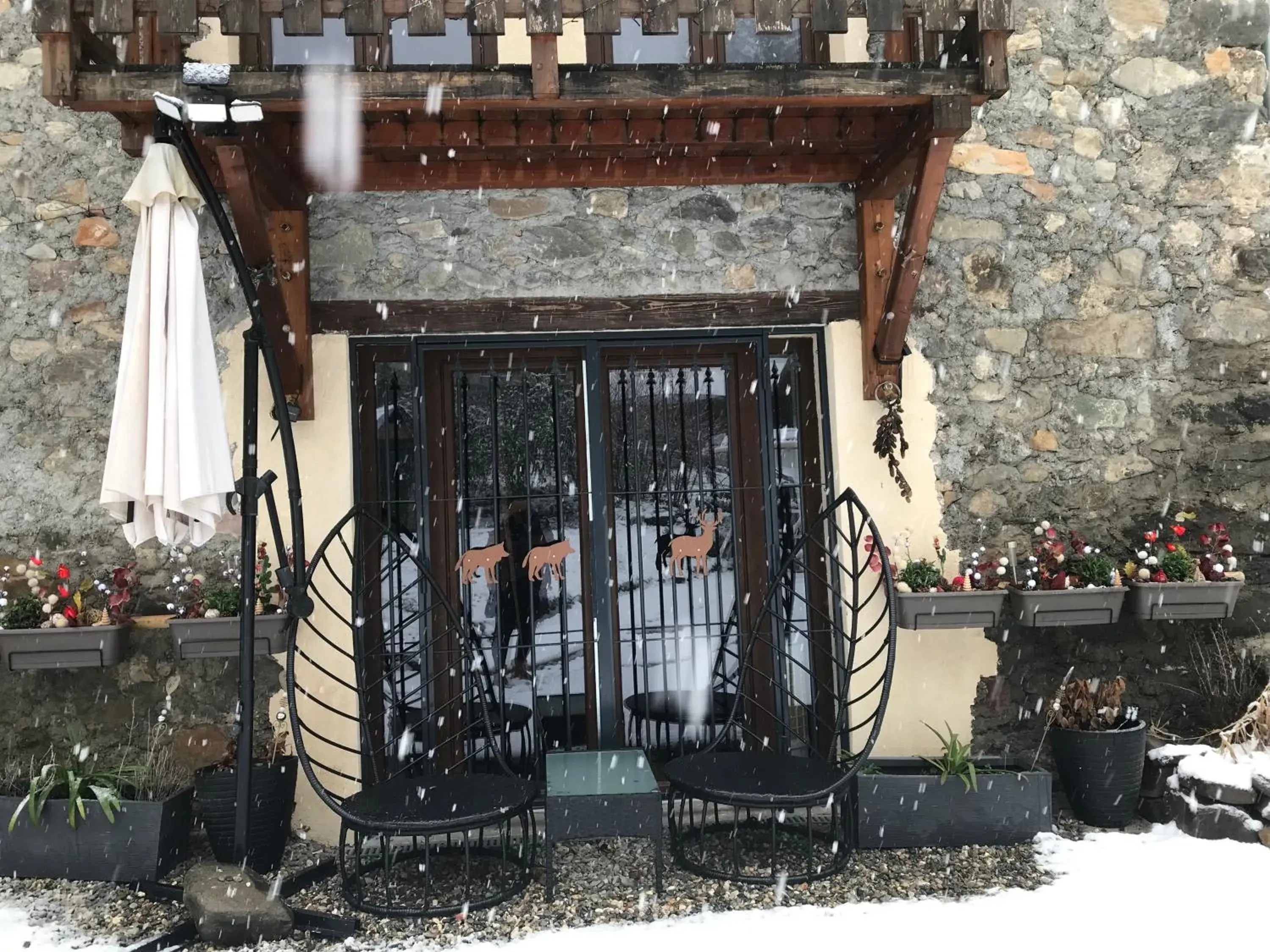 AU SOMMET DES NARCISSES AU SOMMET DES NARCISSES