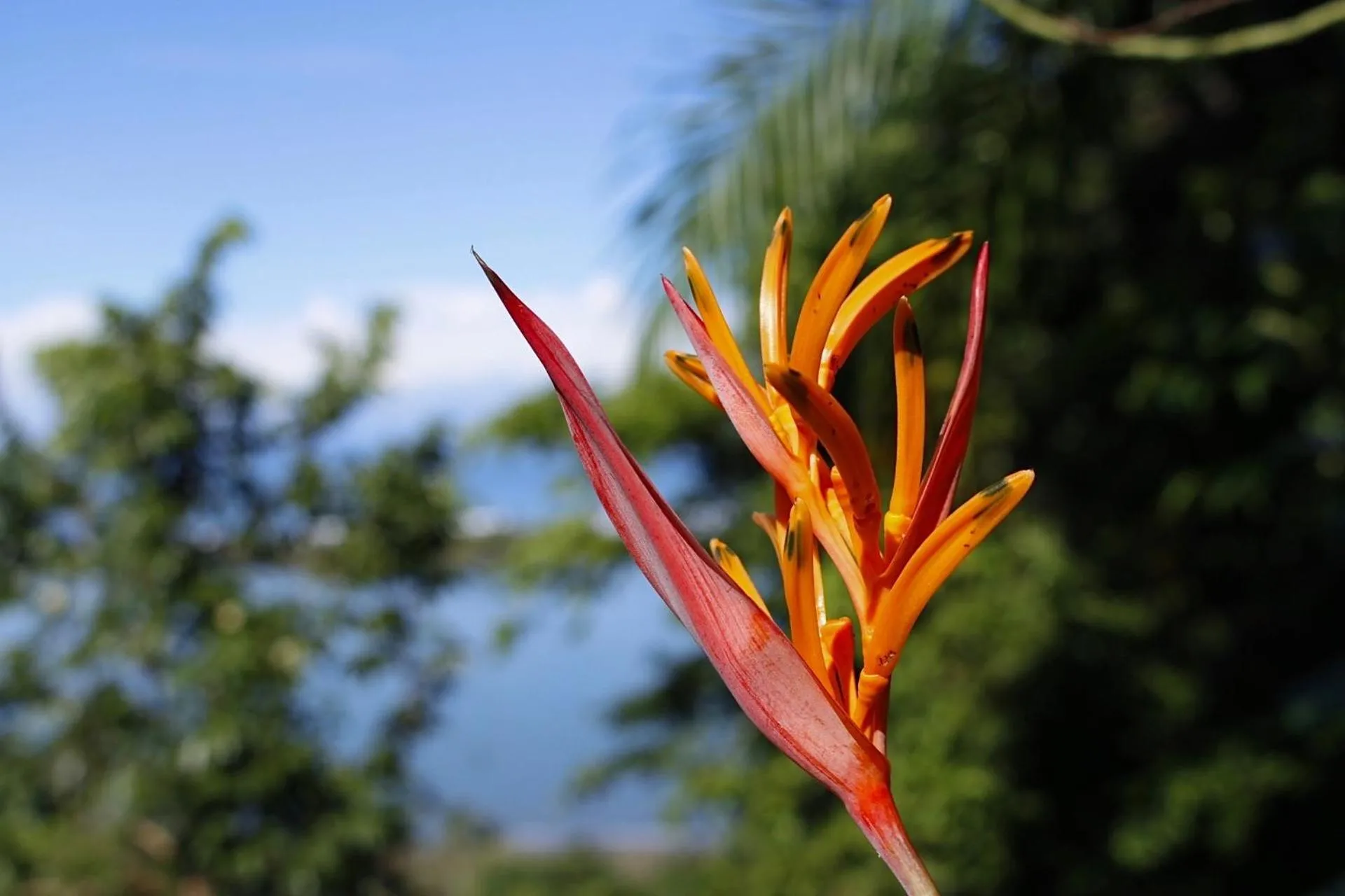 Natural landscape in El Paraiso Azul