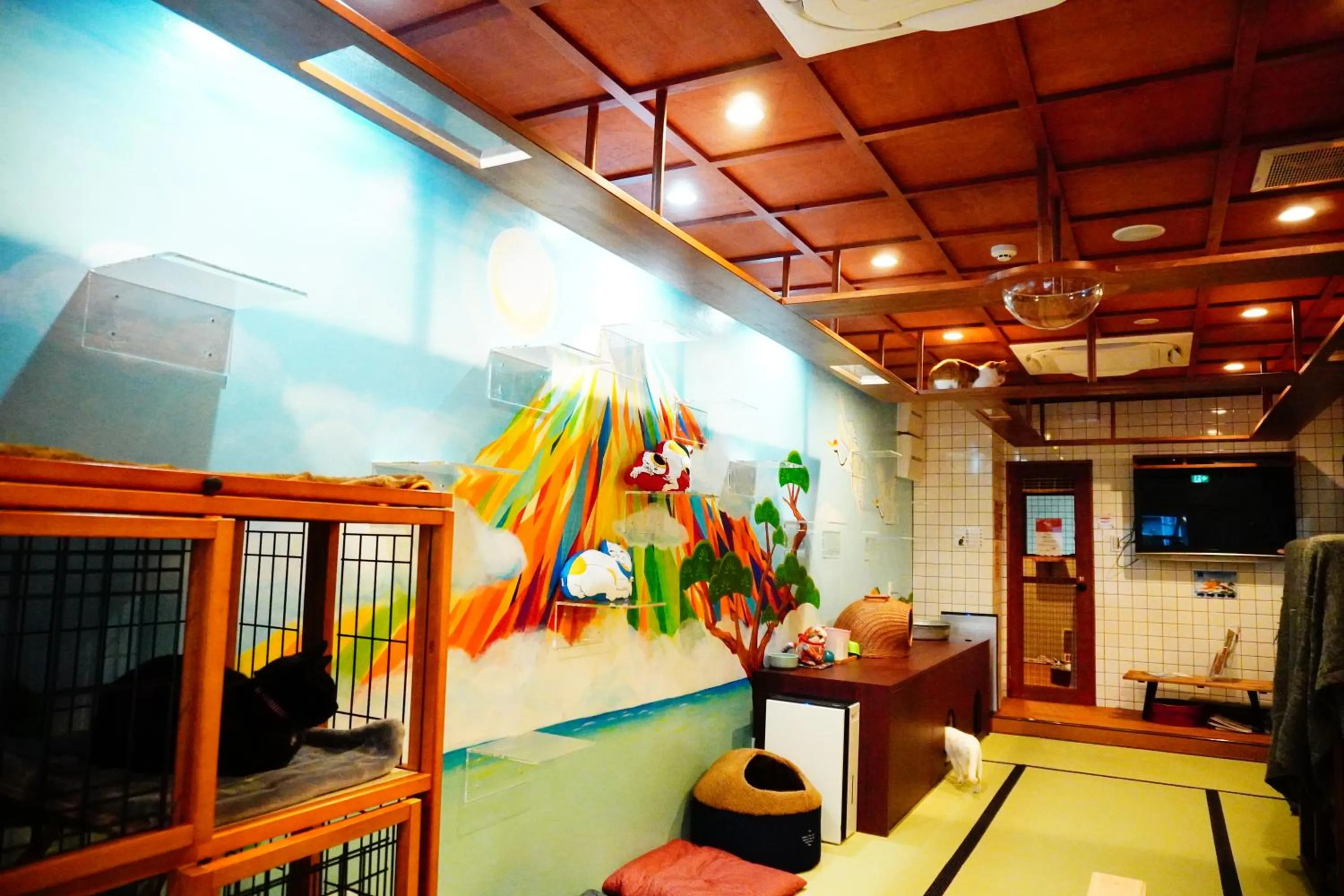 Area and facilities in Cat Spa & Cat Ryokan by Neco Republic Osaka