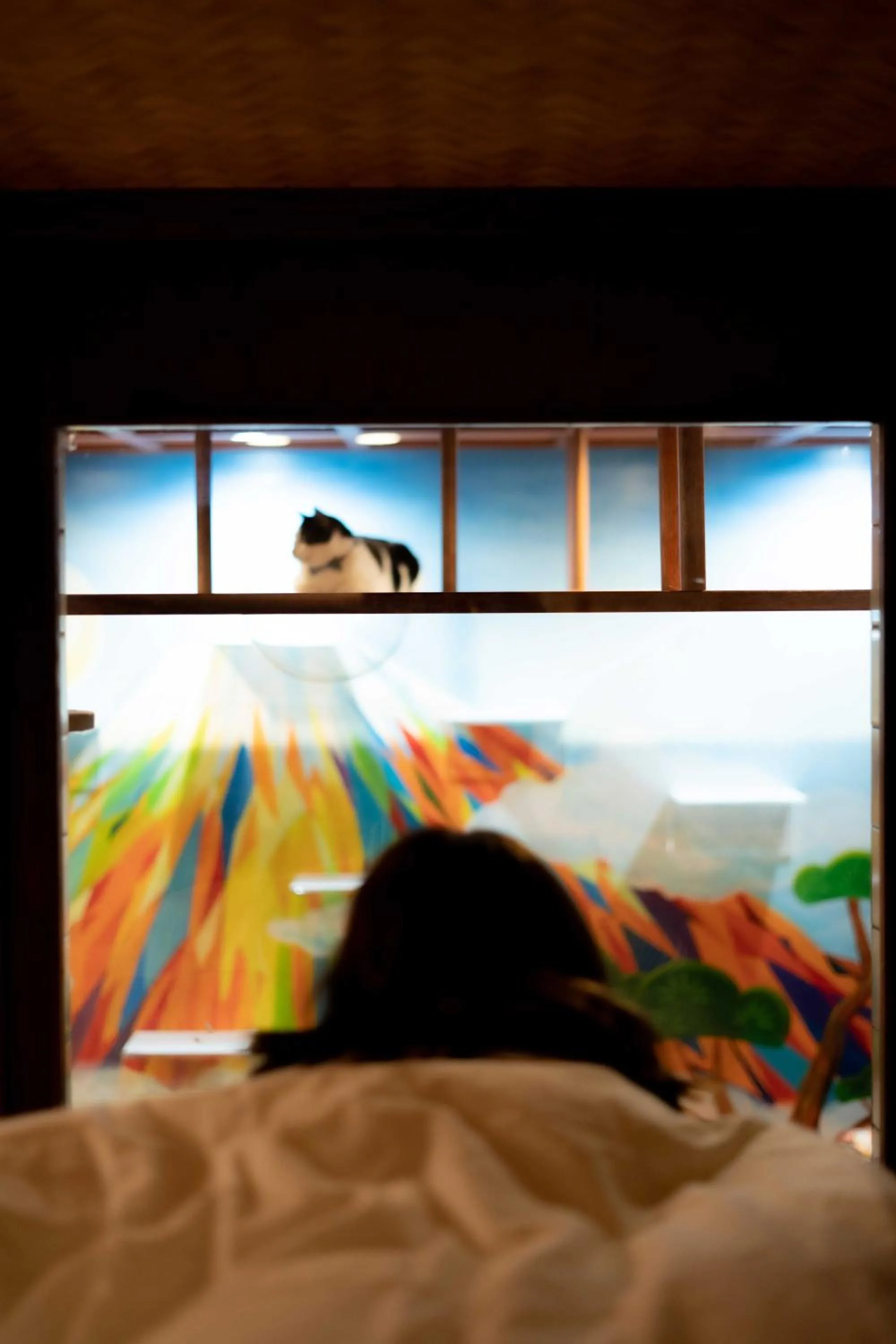 Bedroom, Bed in Cat Spa & Cat Ryokan by Neco Republic Osaka