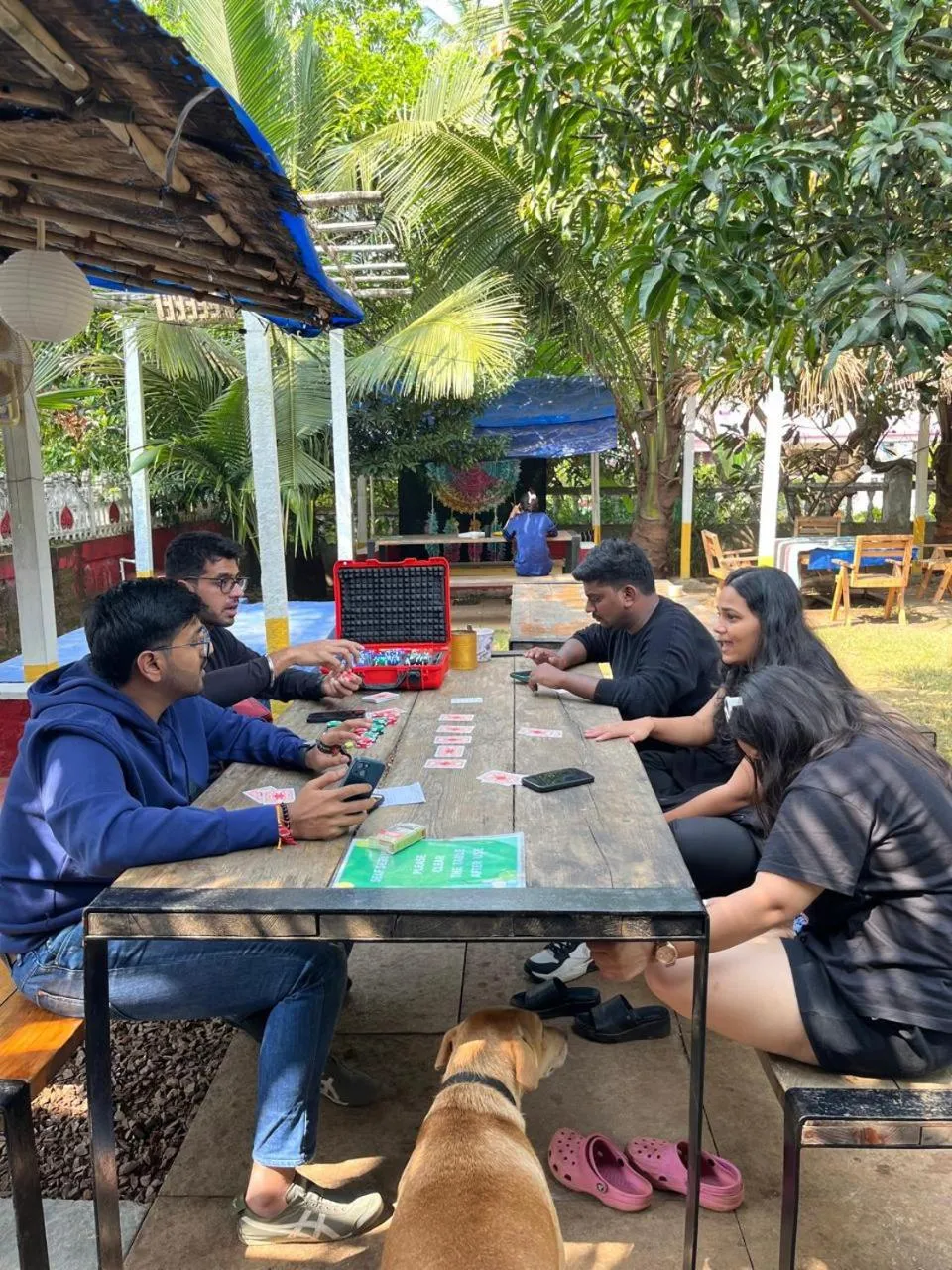 GREEN NEST HOSTEL - Anjuna - North Goa