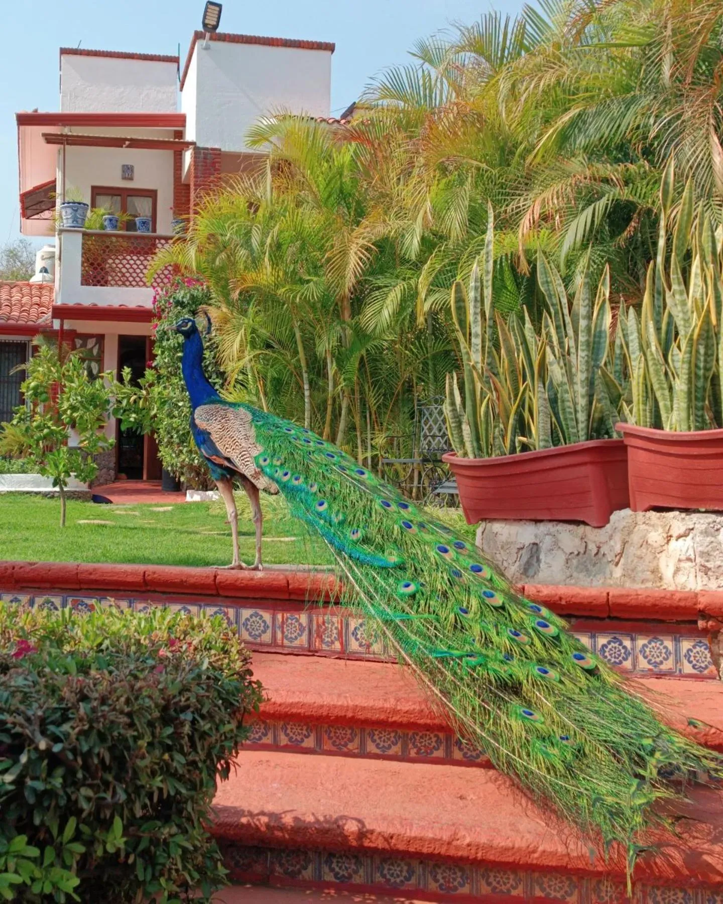 Posada Los Alcatraces