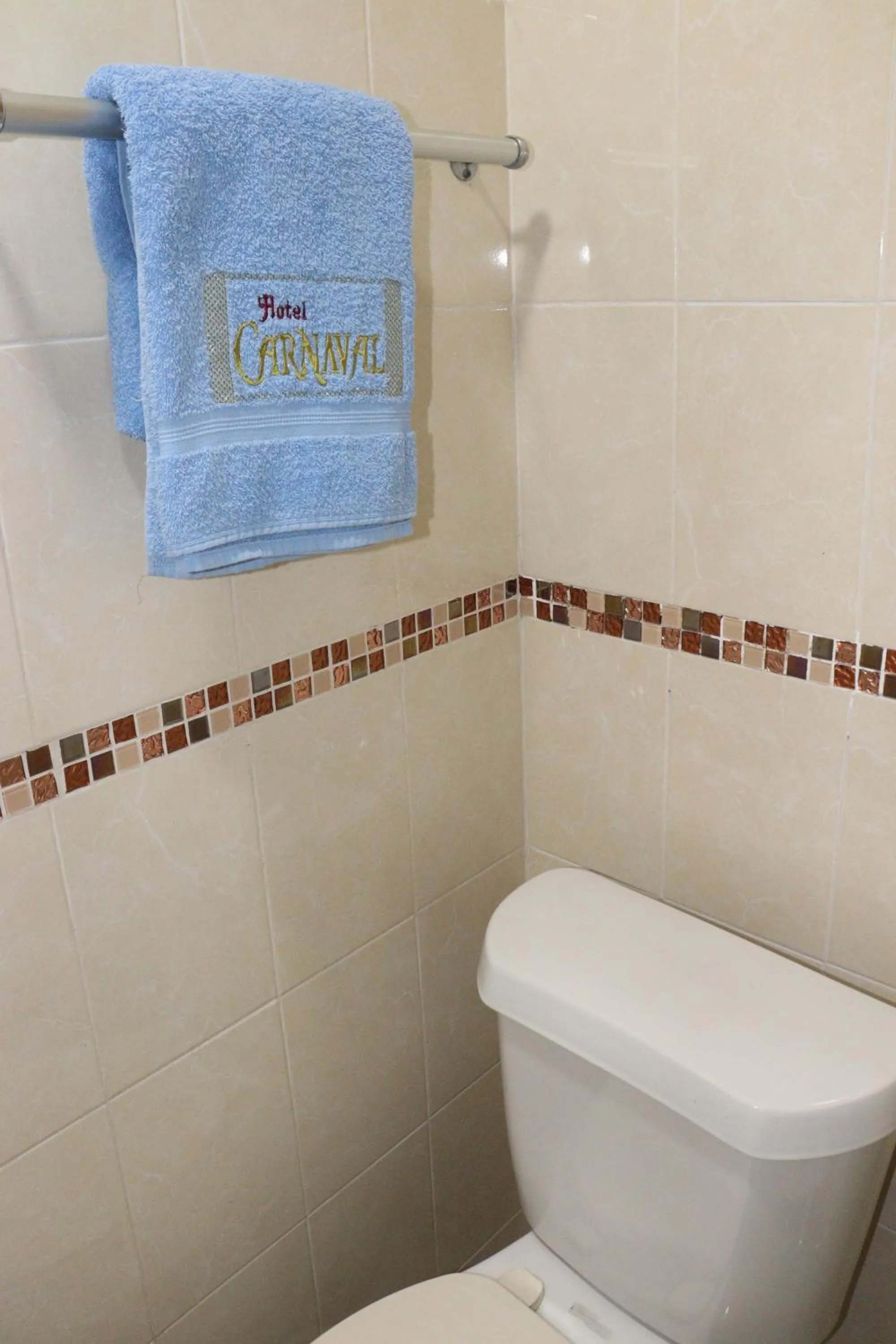 Bathroom in Hotel Carnaval