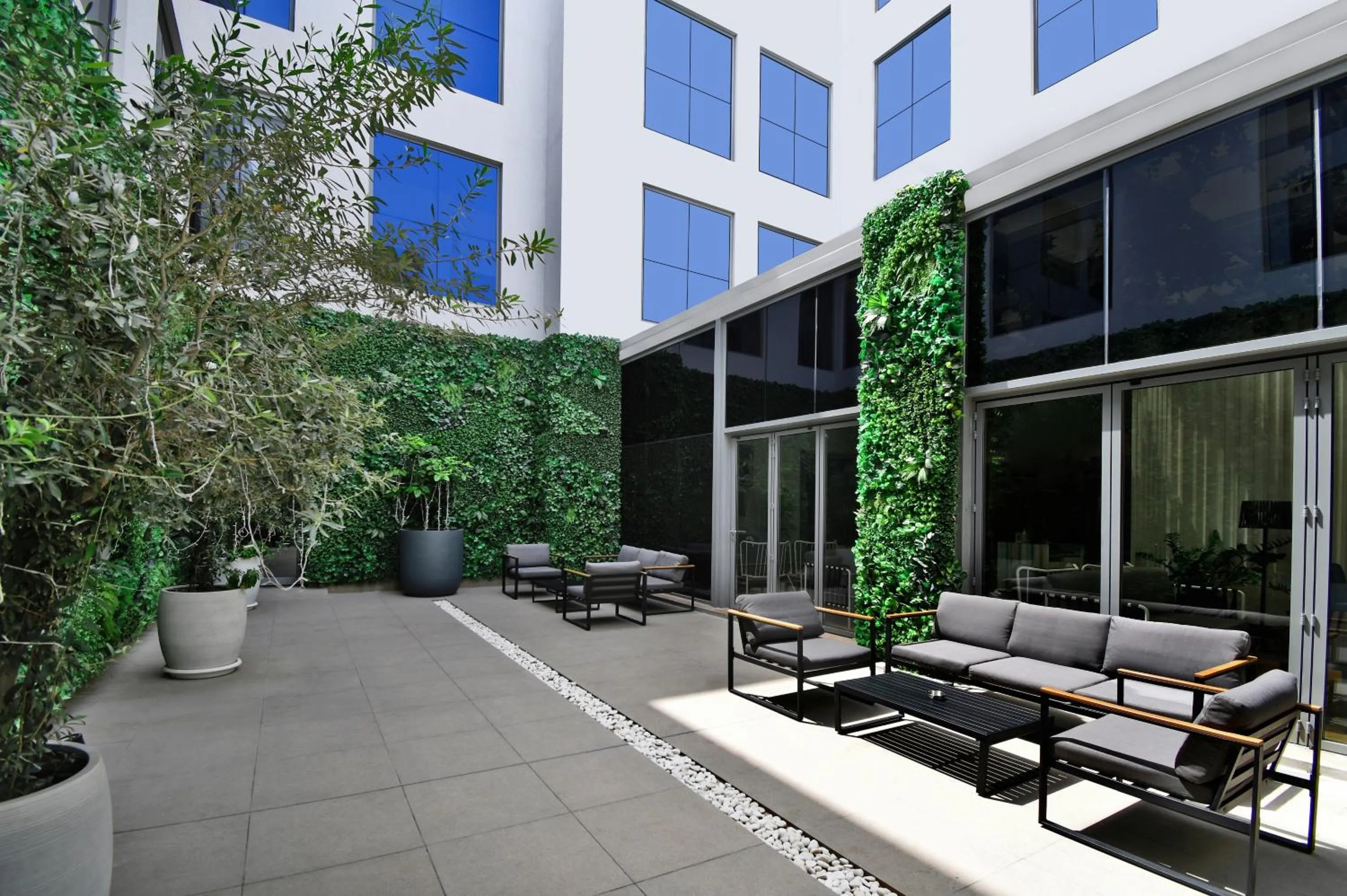 Garden in Lemon Tree Hotel, Jumeirah Dubai