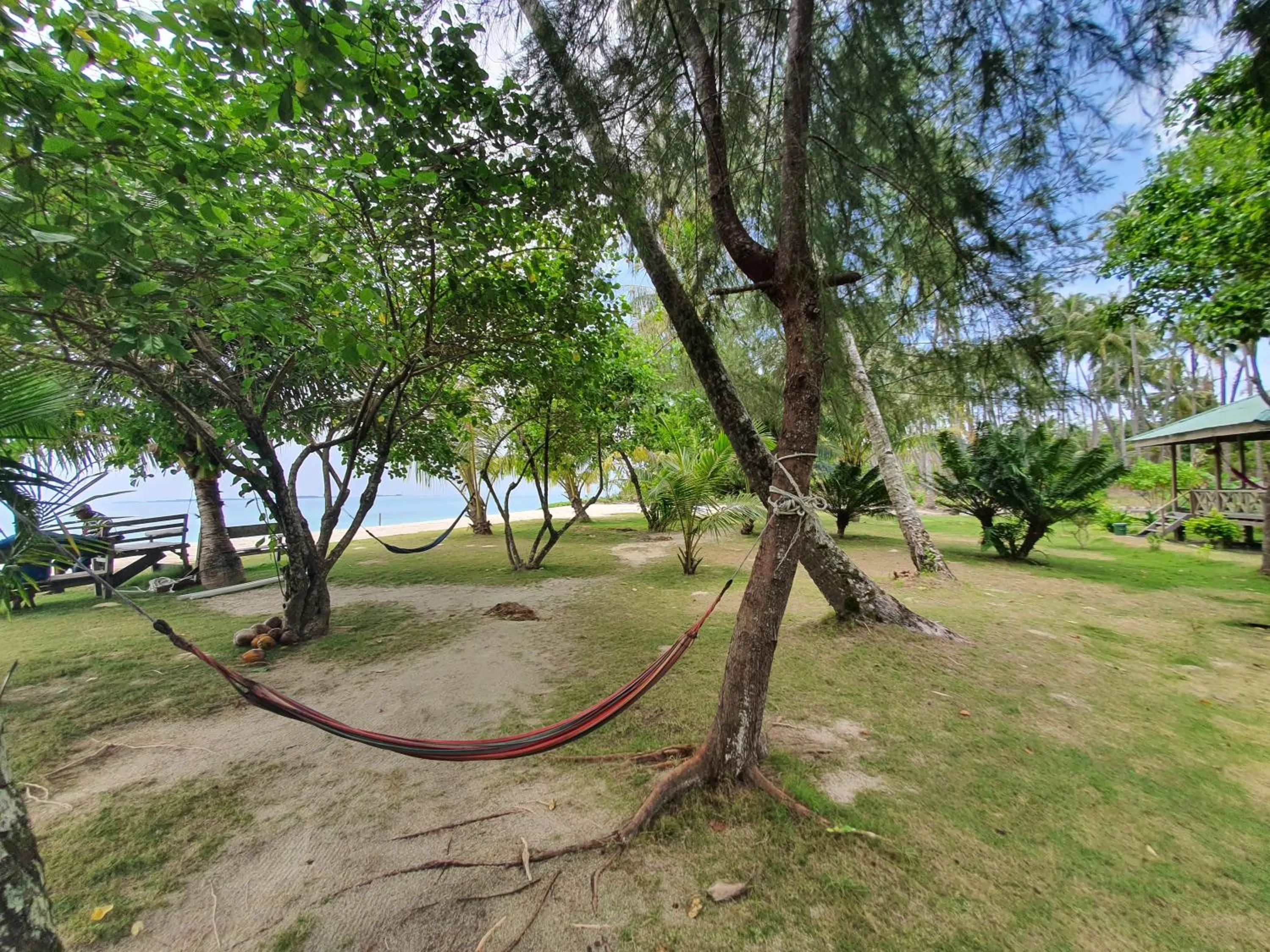 Garden in MB Palambak Island Resort Pulau Banyak Aceh Singkil