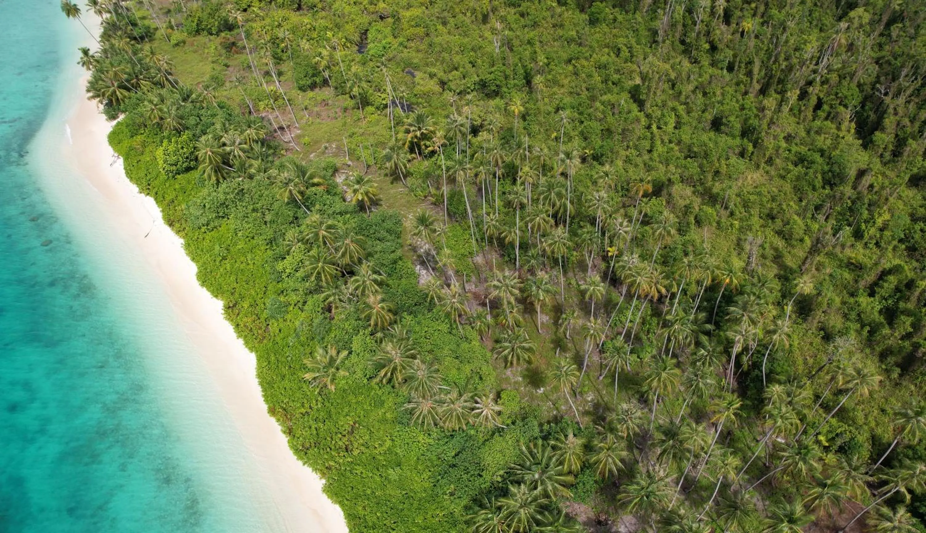 MB Palambak Island Resort Pulau Banyak Aceh Singkil