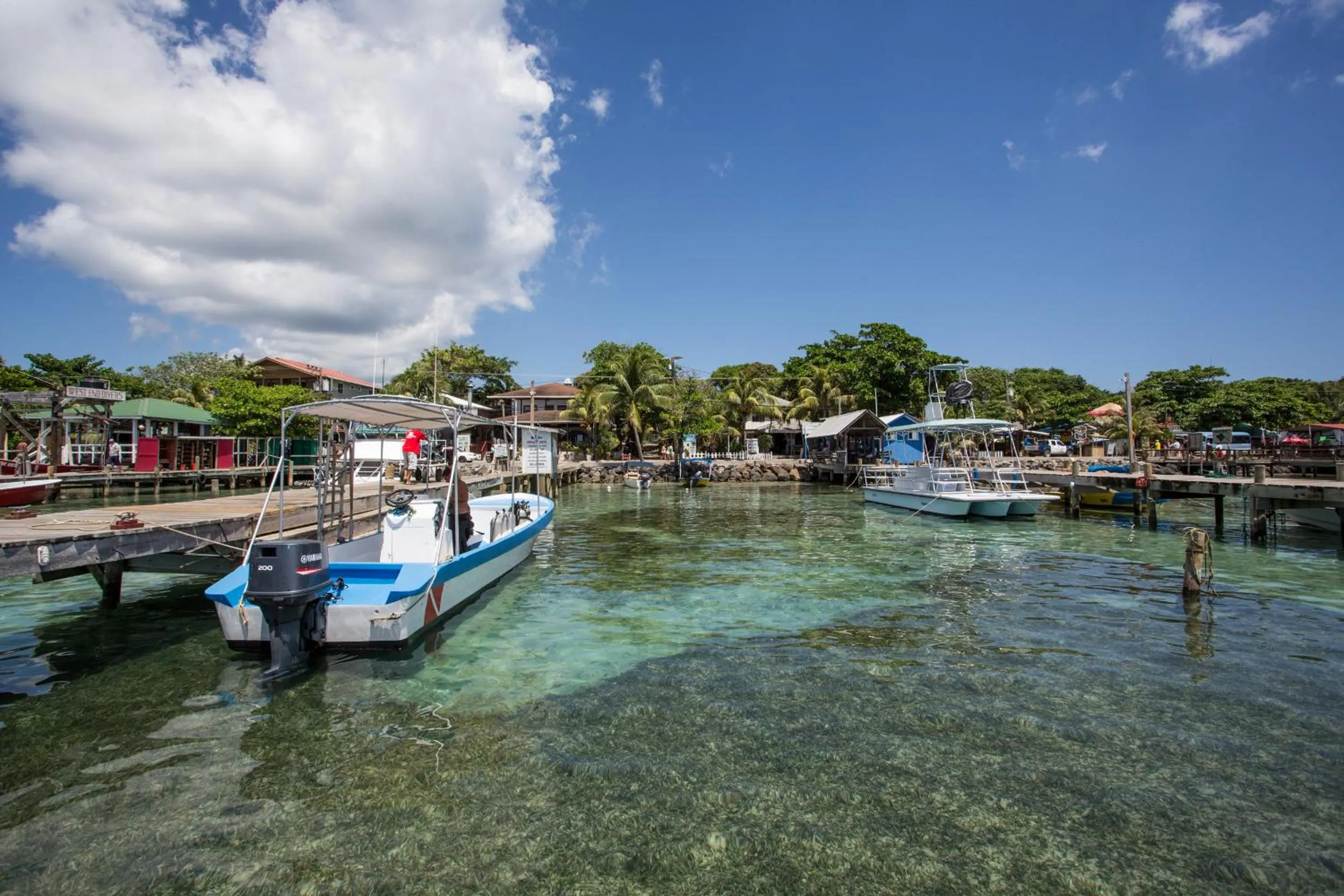 Fishing in Splash Inn Dive Resort & Villas