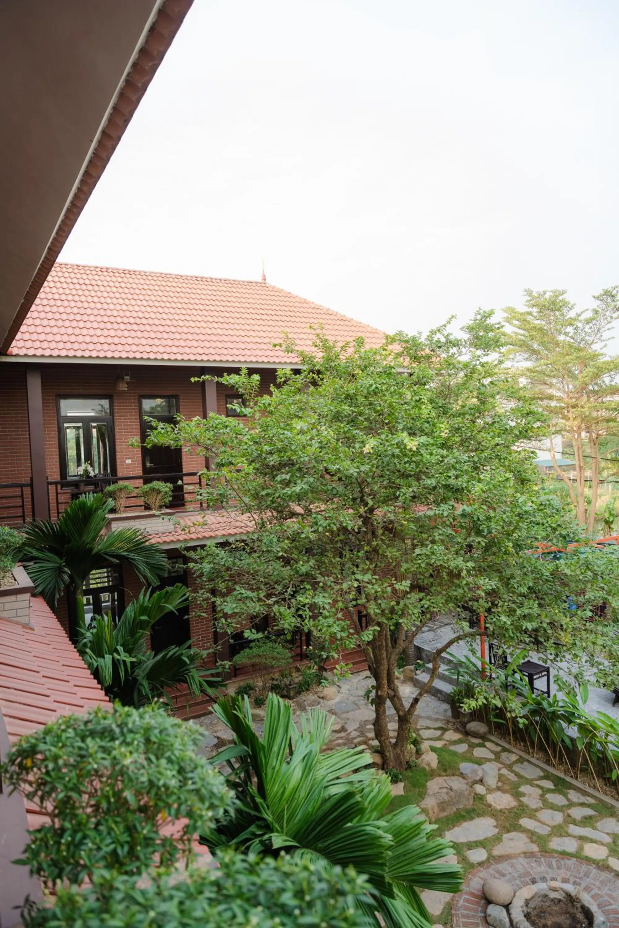 Việt Xưa Homestay