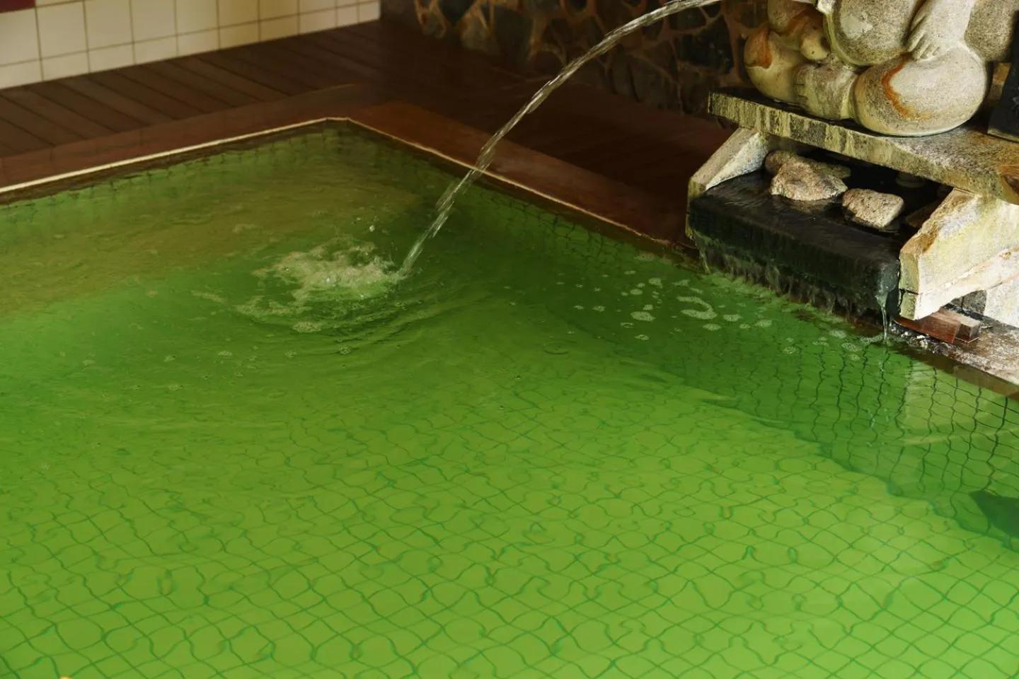 Hot Spring Bath in Hotel Seifuuen