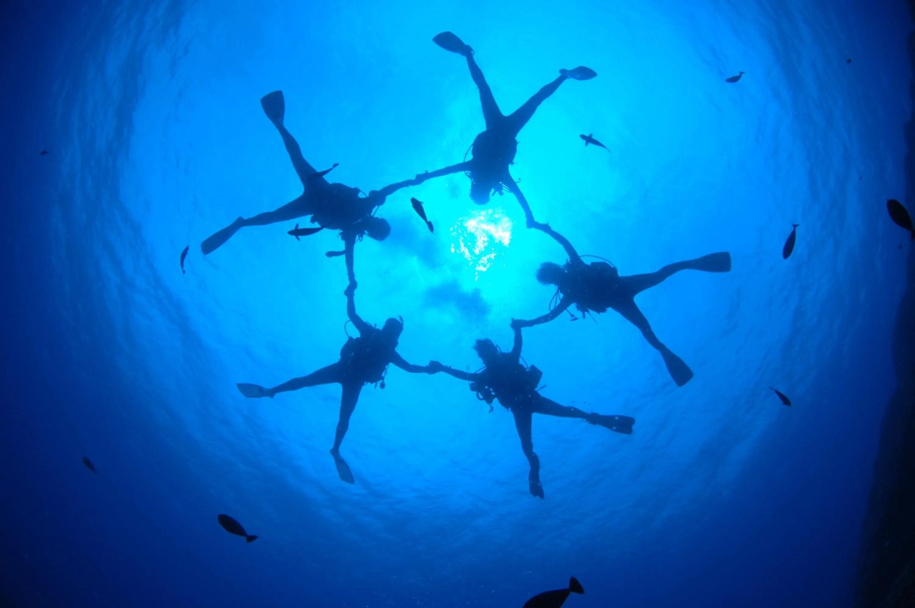 Diving in Petit Resort Native Sea Amami