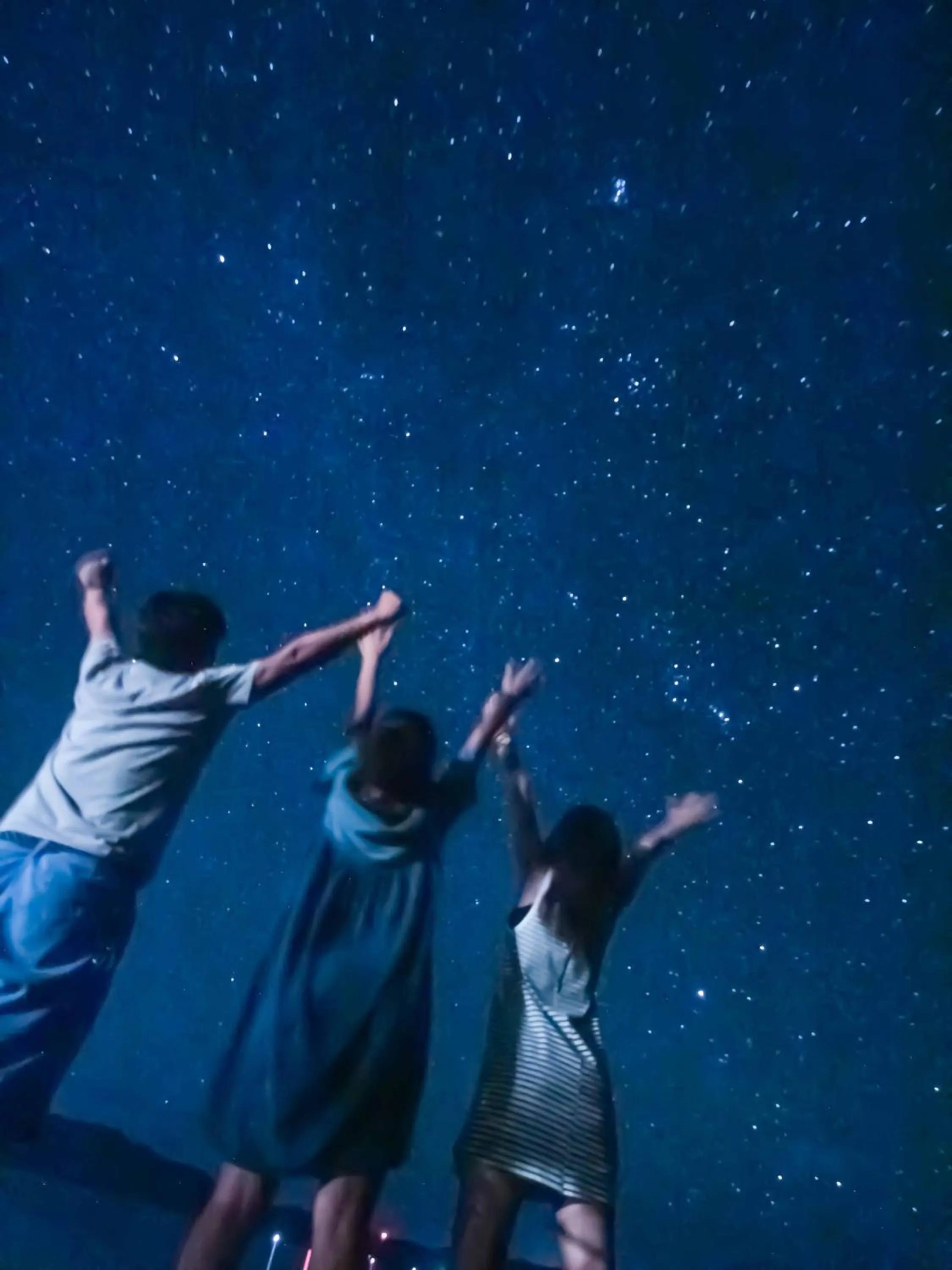 Natural landscape in Petit Resort Native Sea Amami